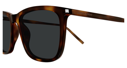 Saint Laurent SL 851 Havana 892 889652614892