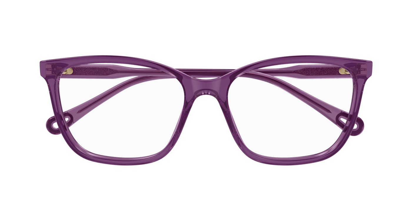 Chloe CH0318O Eyeglasses 889652550954