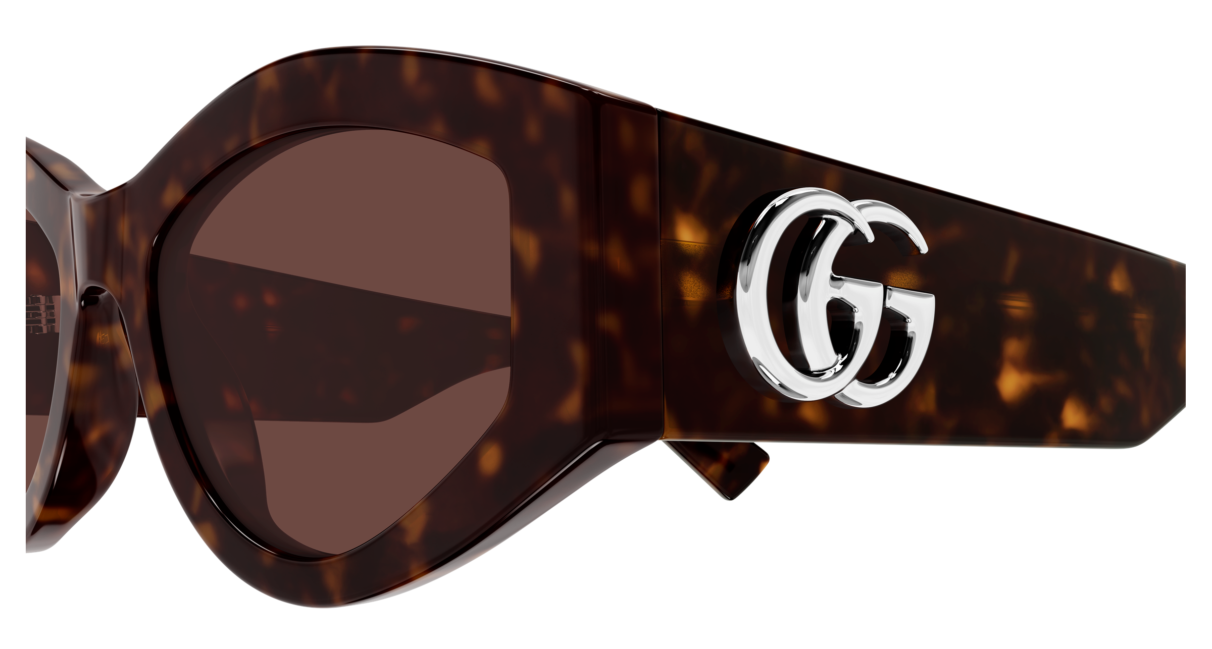 Gucci GG1951S Havana 889652567648