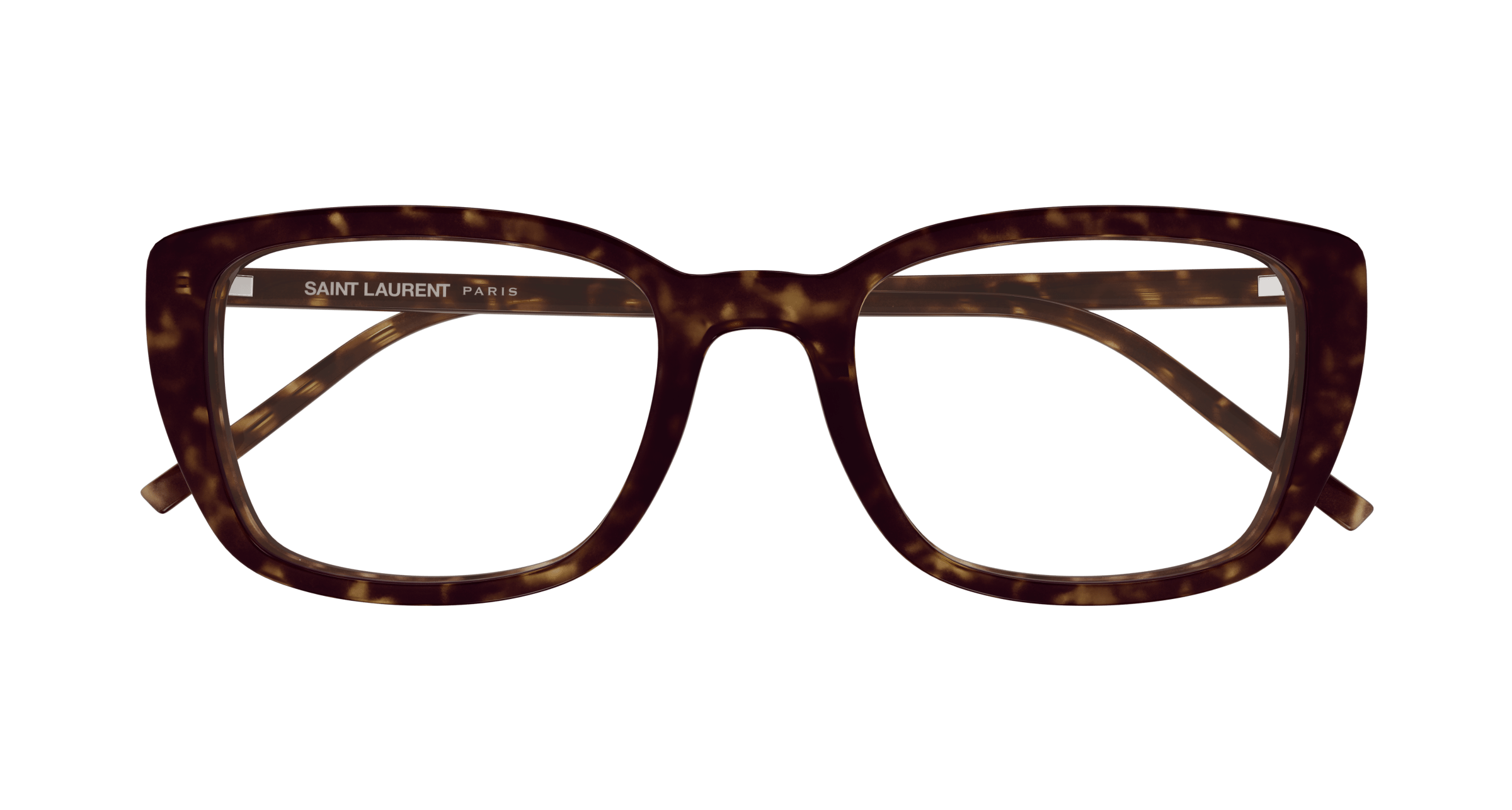 Havana Eyeglasses Saint Laurent 889652556161