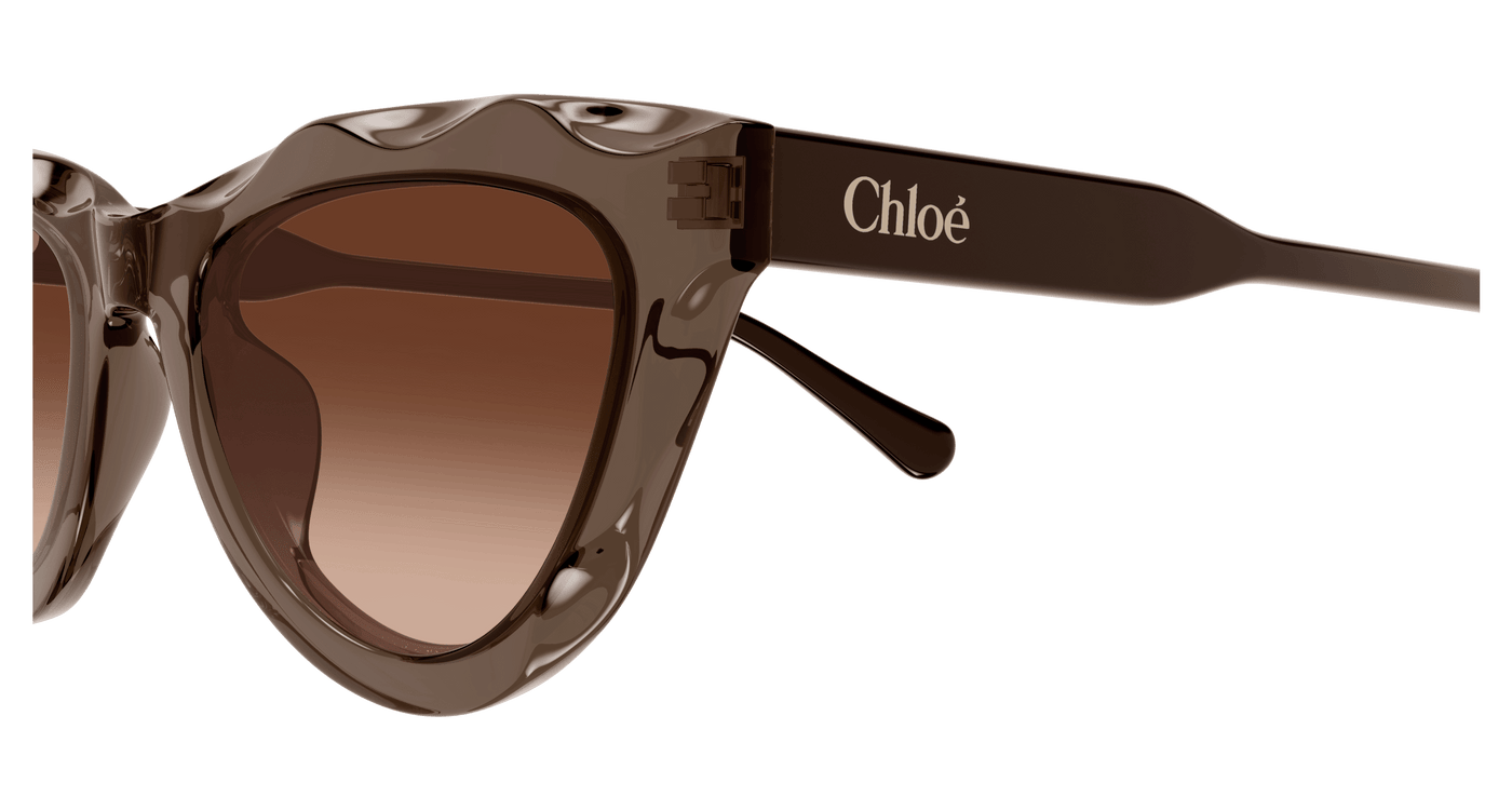 Chloe CH0294S Sunglasses 889652543840