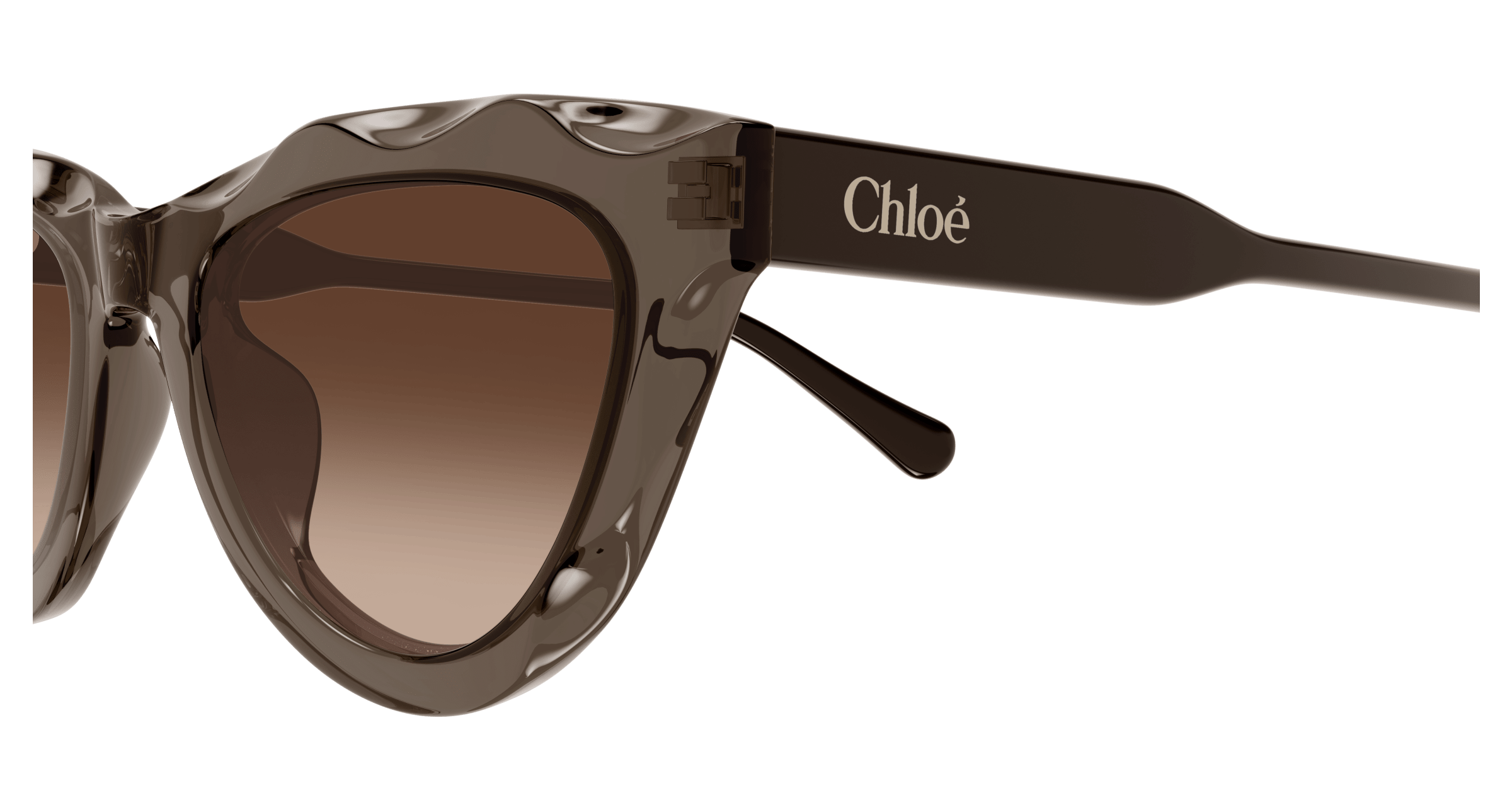 Chloe CH0294S Sunglasses 889652543840