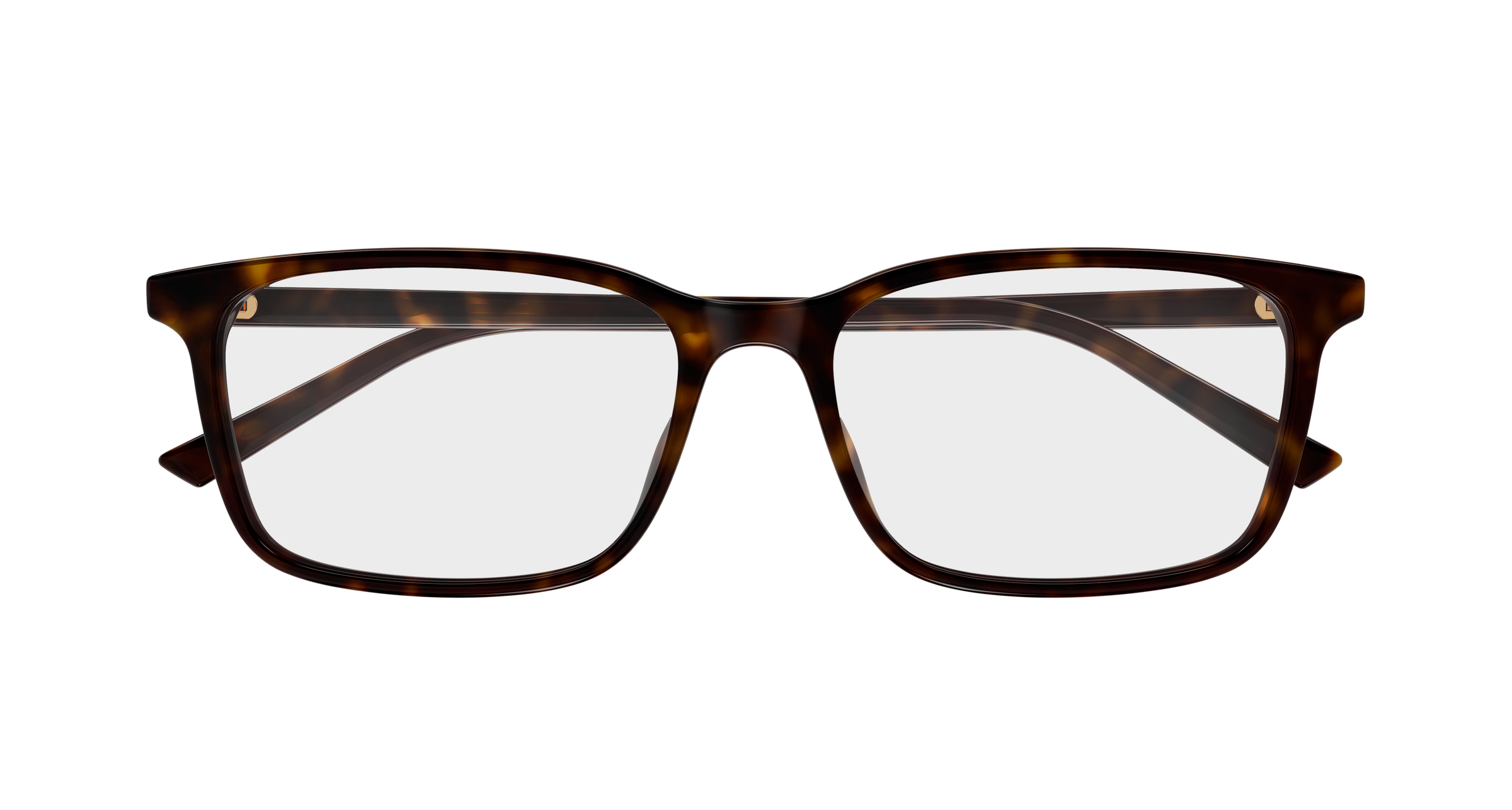 Gucci GG1997O Havana 889652571256