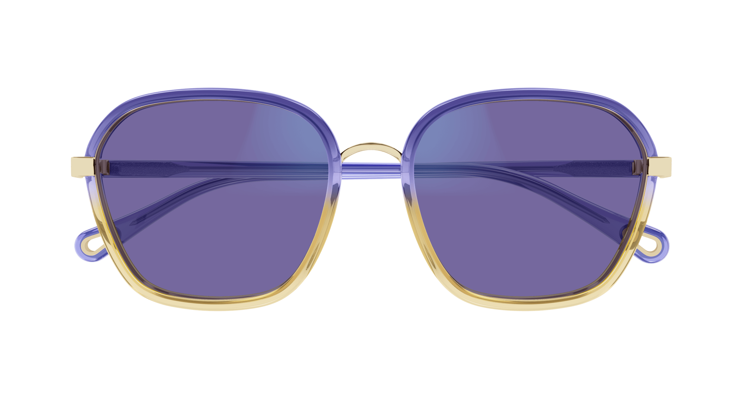 Chloe CH0309S Sunglasses 889652544557