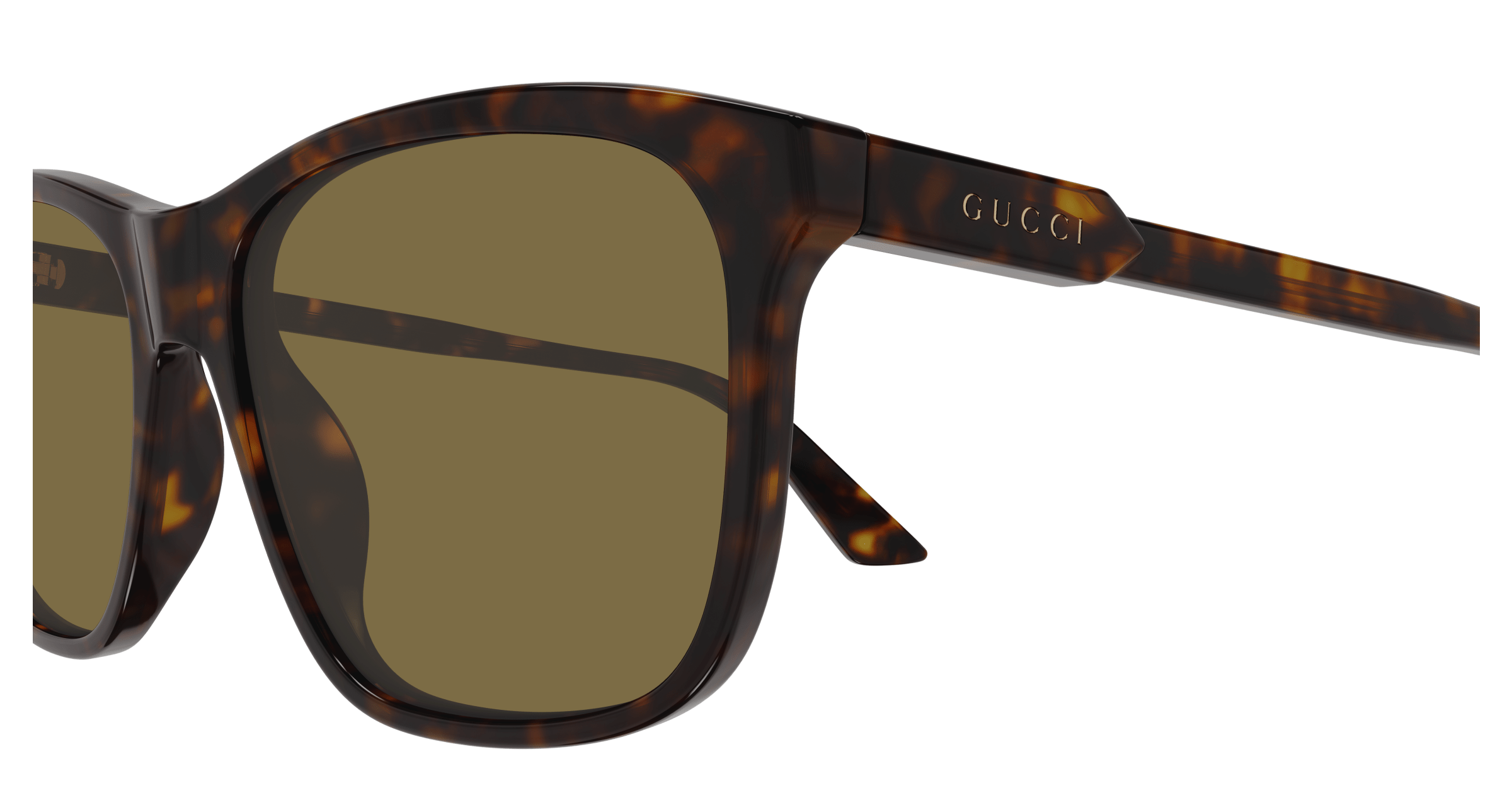 Havana Sunglasses Gucci 889652527598