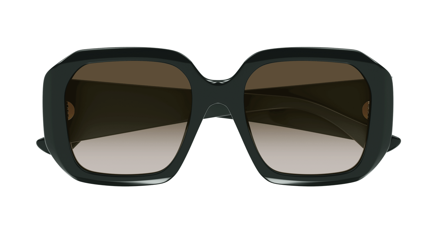 Chloe CH0300S Sunglasses 889652544113