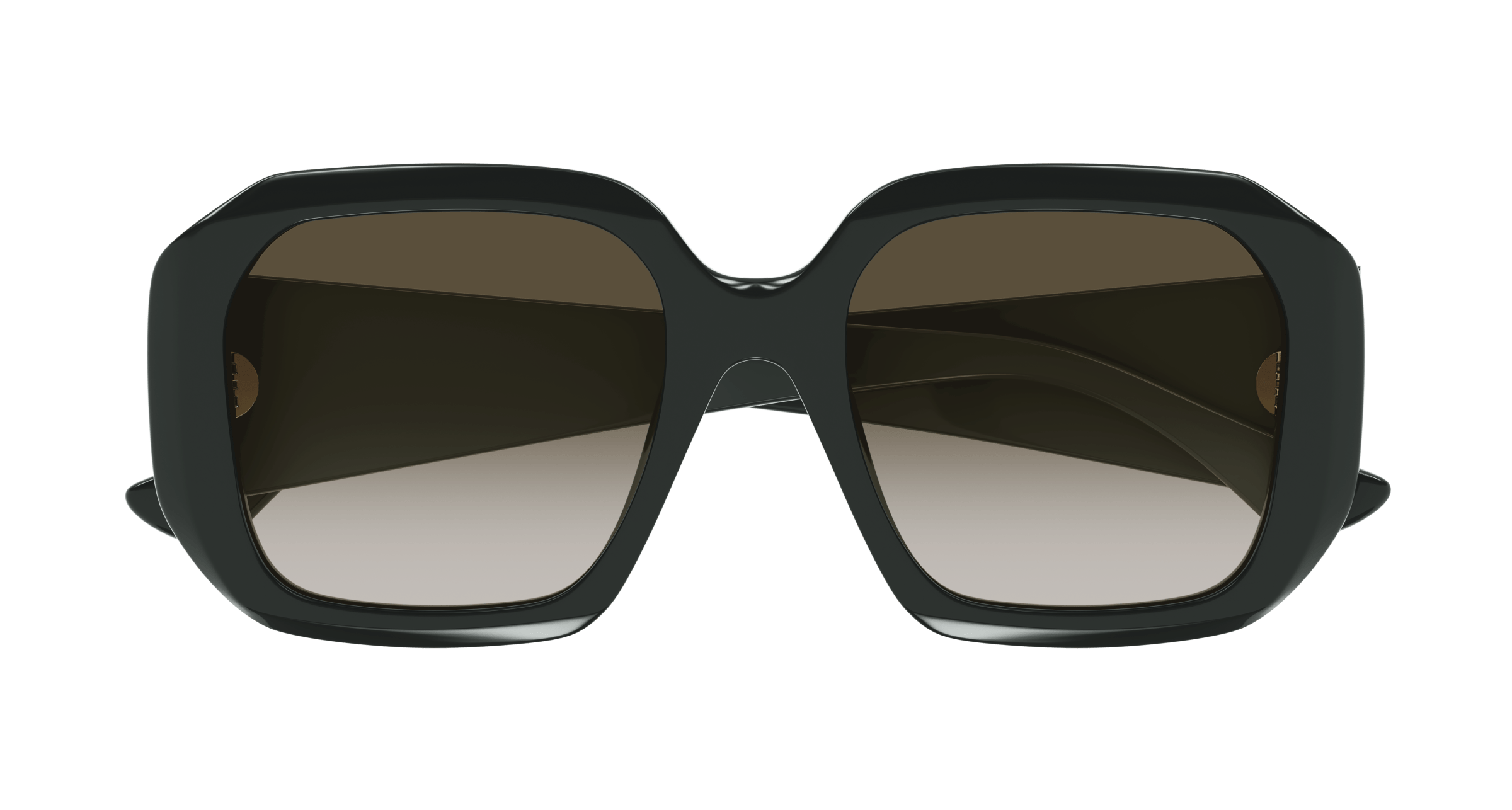 Chloe CH0300S Sunglasses 889652544113