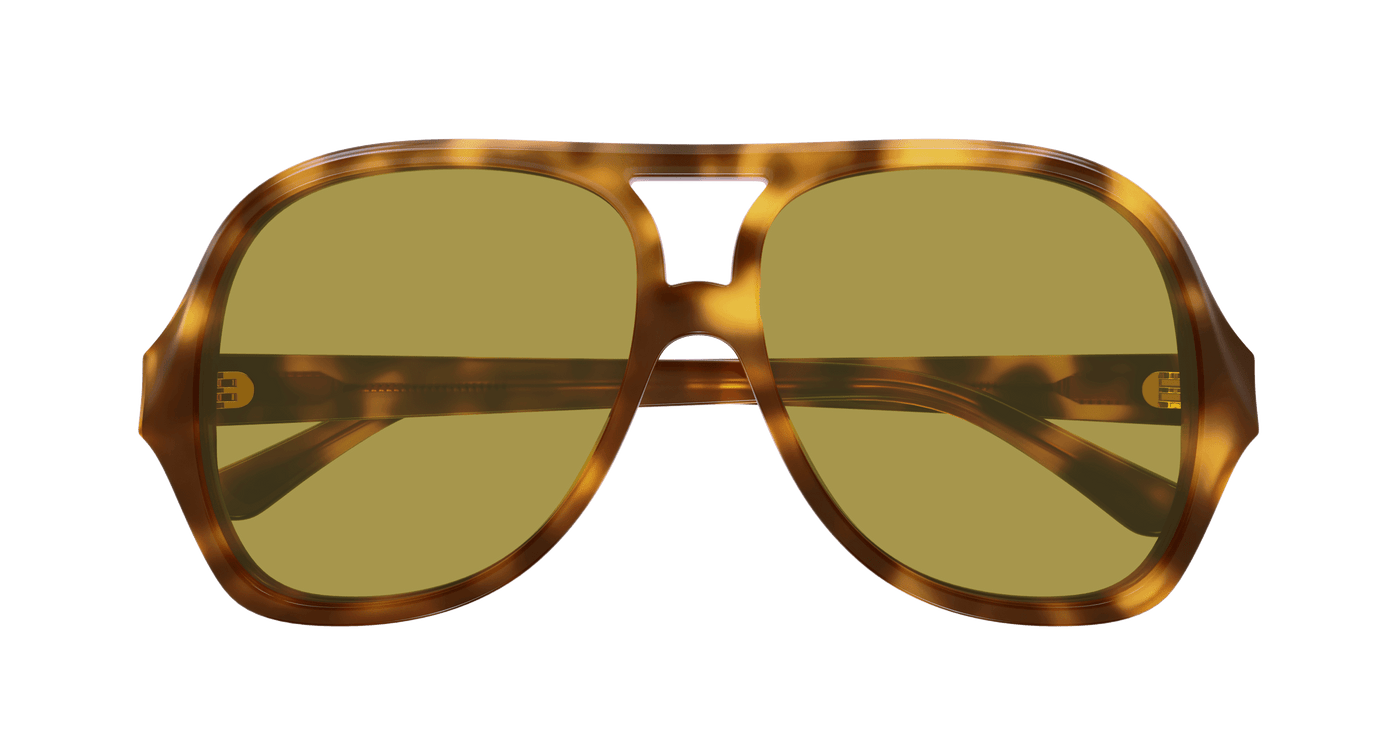 Chloe CH0289S Sunglasses 889652543574