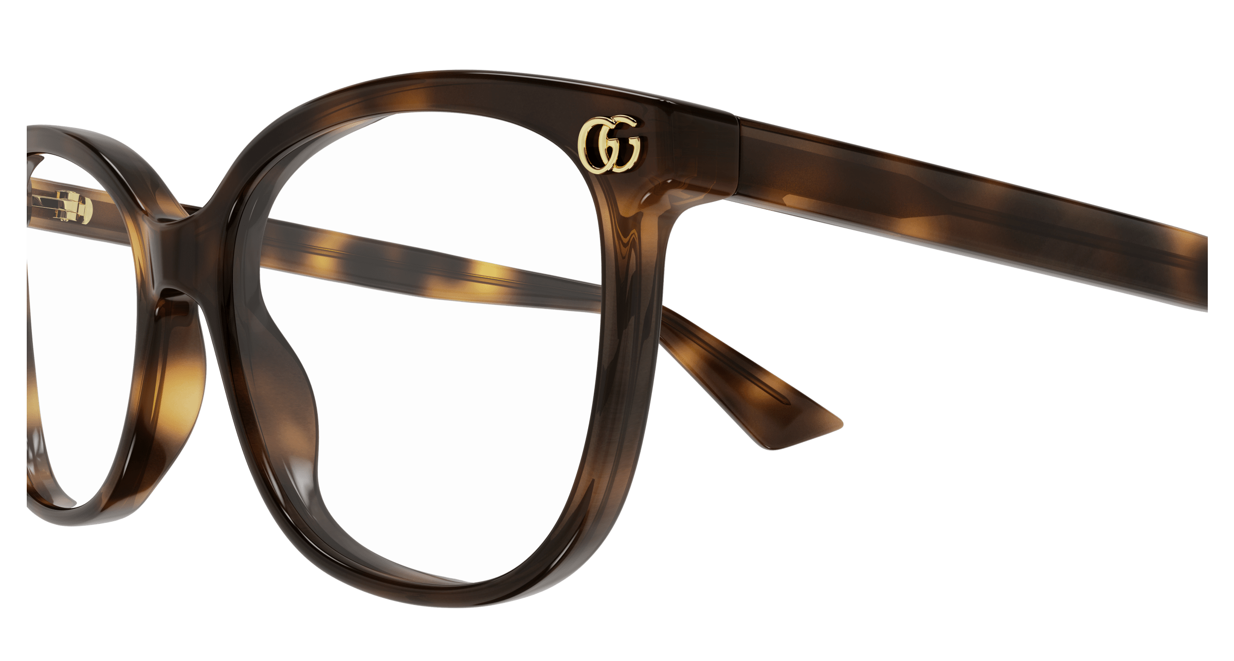 Havana Eyeglasses Gucci 889652527512