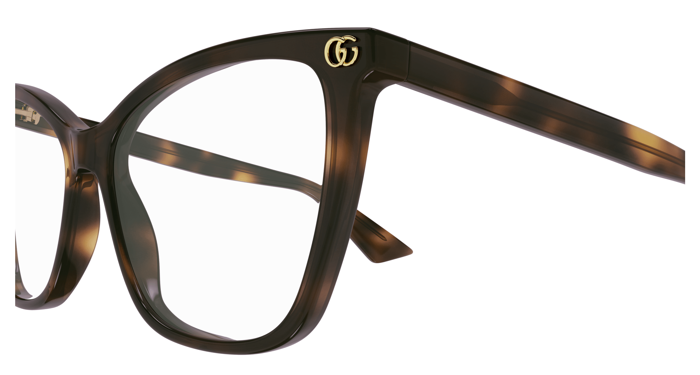 Havana Eyeglasses Gucci 889652527550