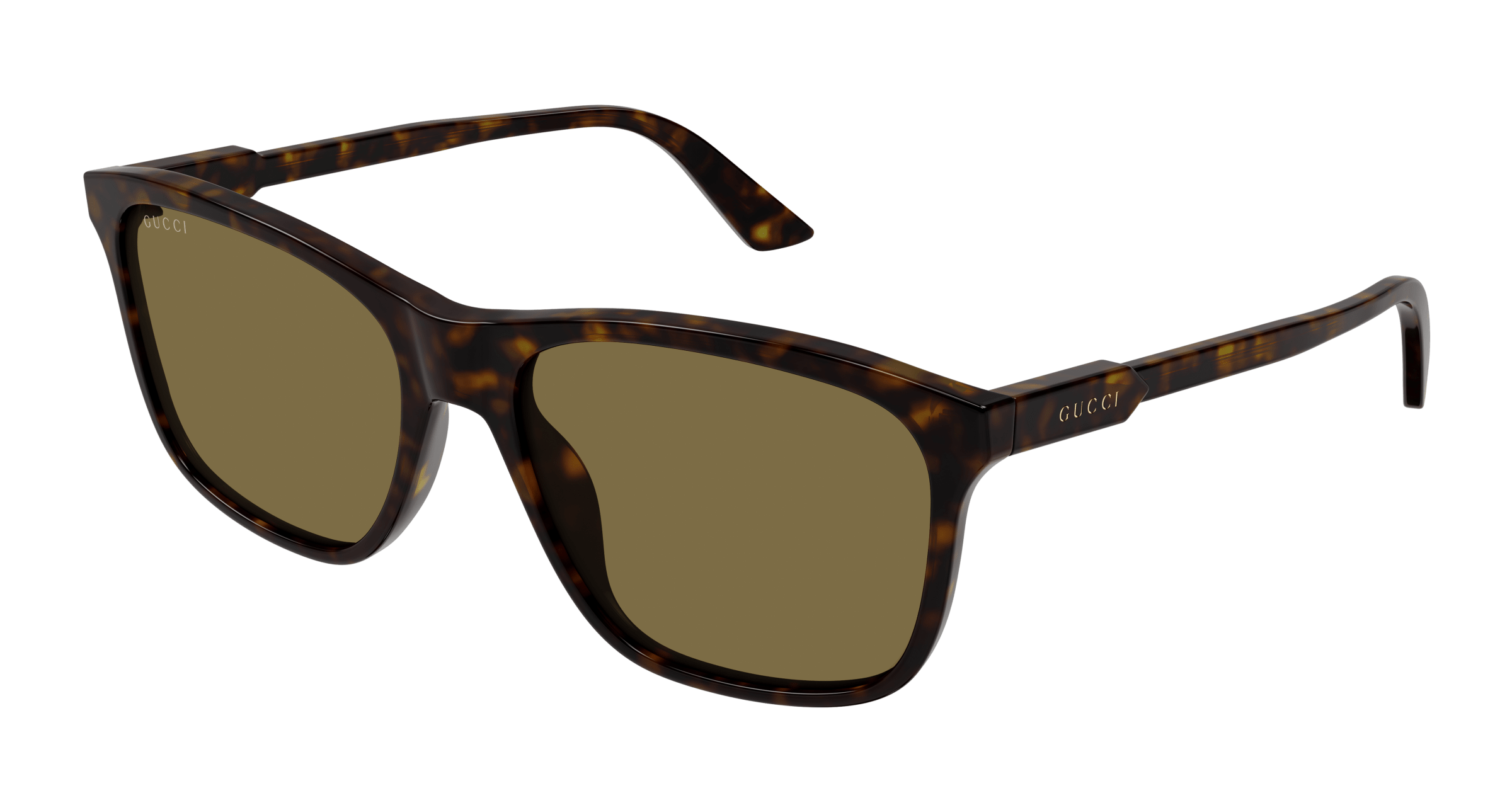 Havana Sunglasses Gucci 889652527598