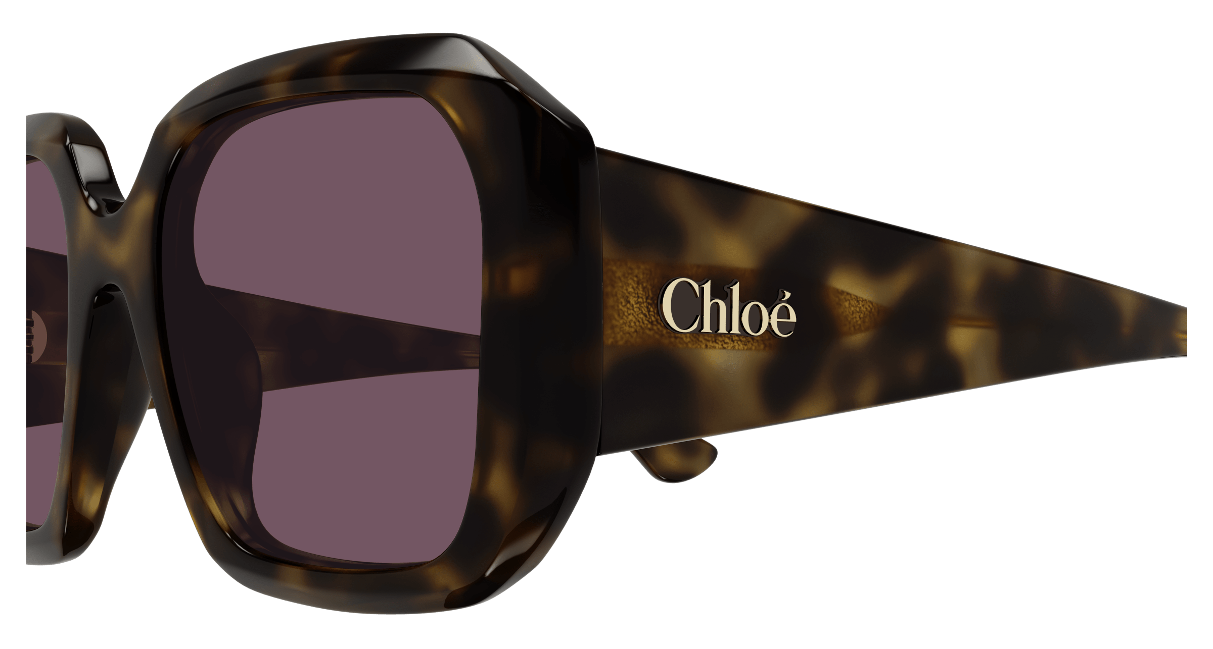 Chloe CH0300S Sunglasses 889652544106