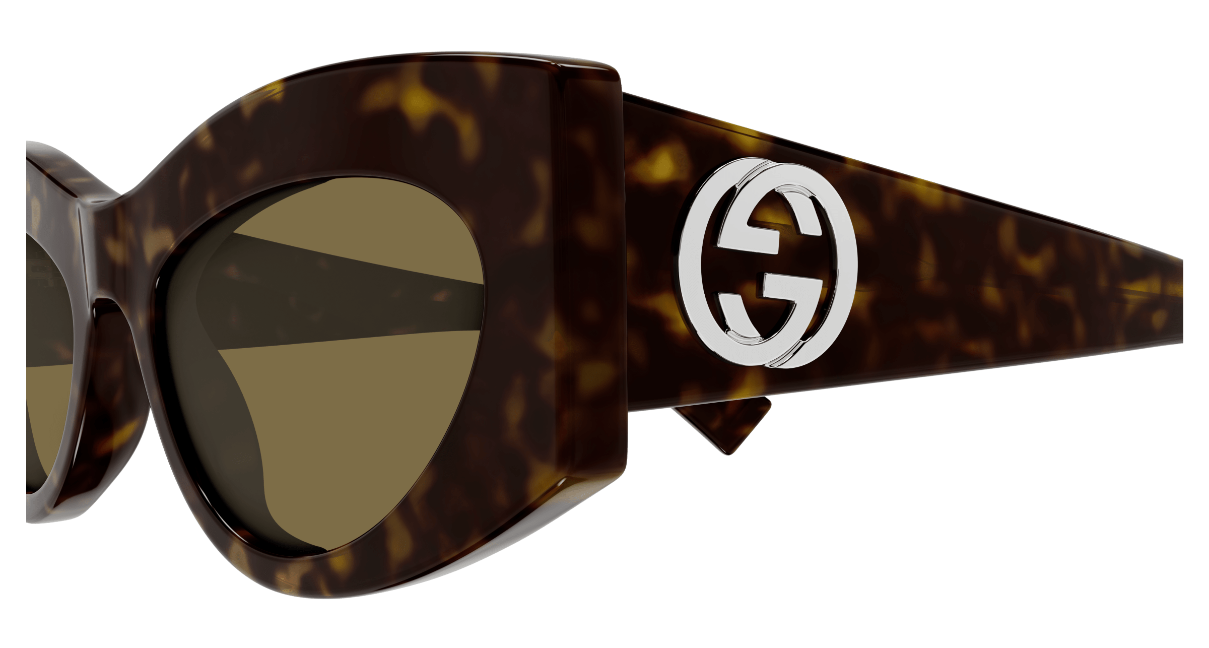 Havana Sunglasses Gucci 889652528809