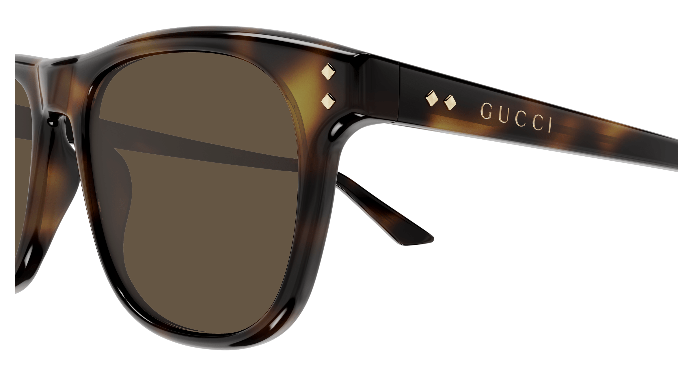 Havana Sunglasses Gucci 889652528977