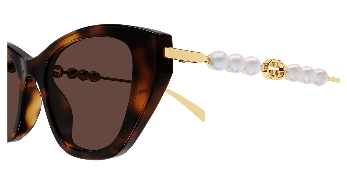 Gucci GG1968S Havana 889652568850
