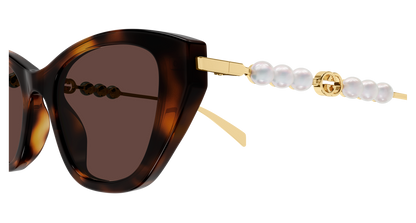 Gucci GG1968S Havana 889652568850