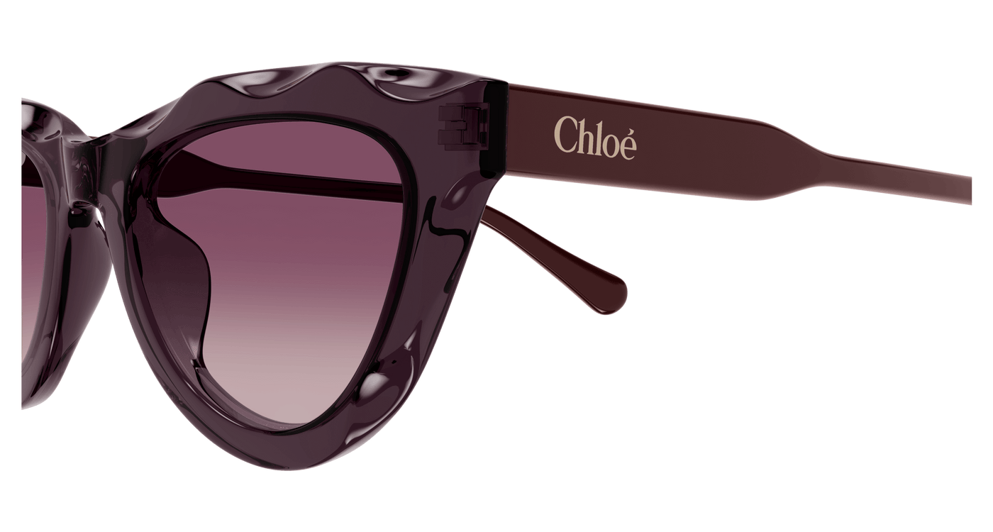 Chloe CH0294S Sunglasses 889652543833