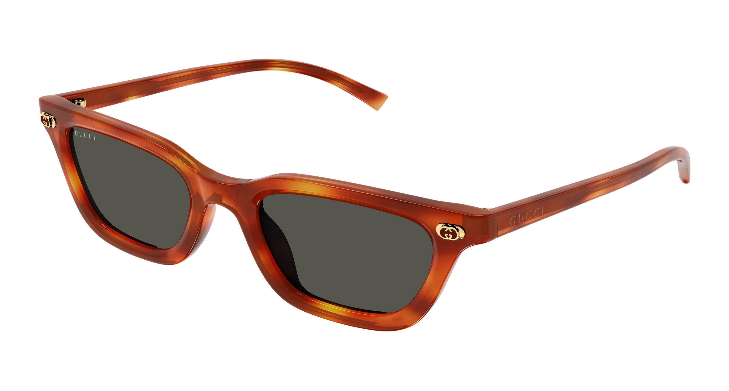 Gucci GG1944S Havana 002 889652567150