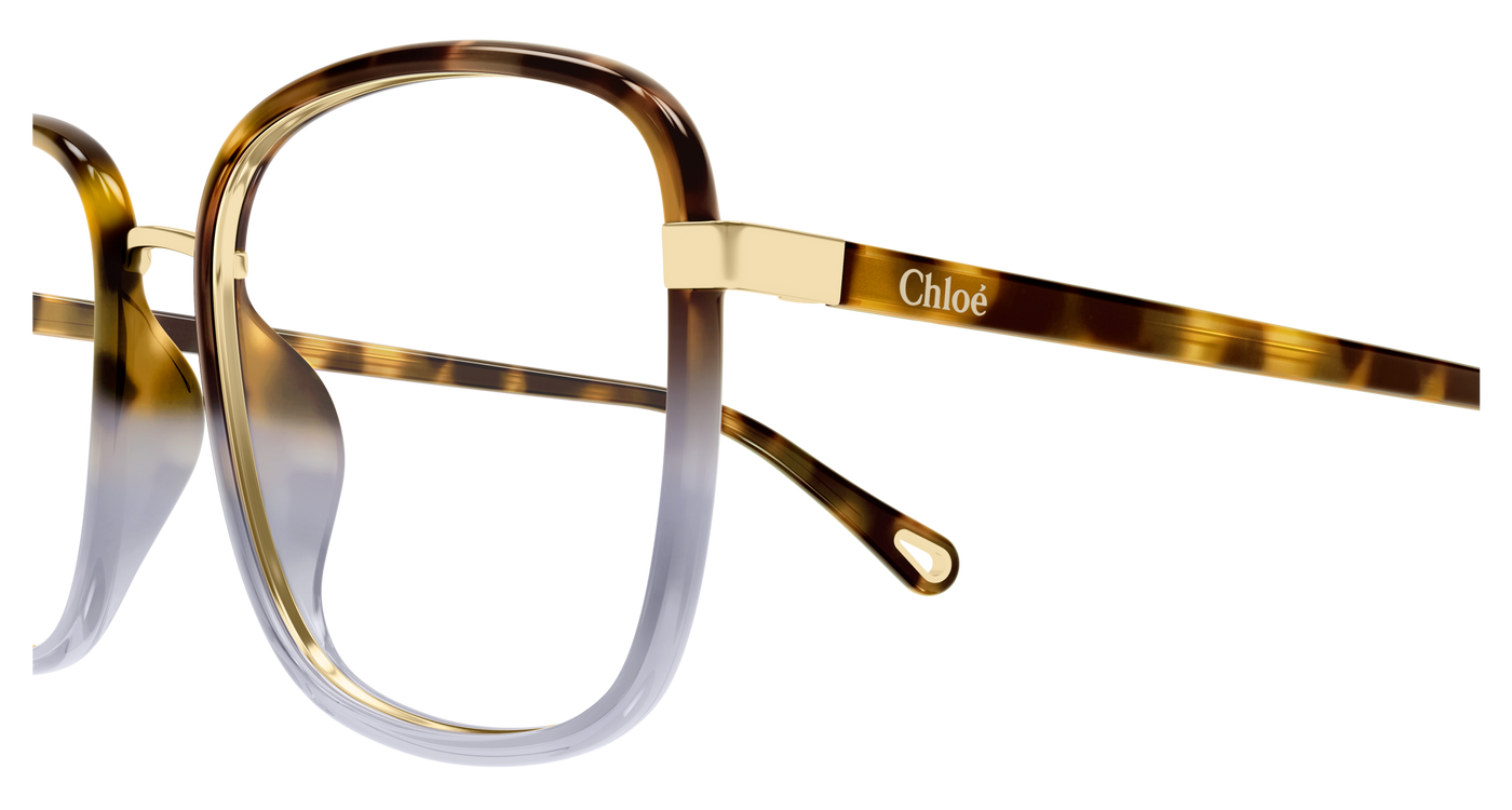 Chloe CH0034O Eyeglasses 889652543512