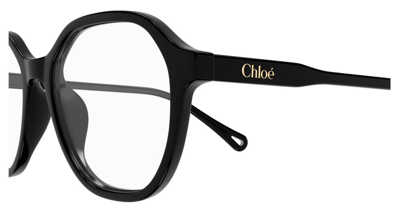 Chloe CH0315OA Eyeglasses 889652544779