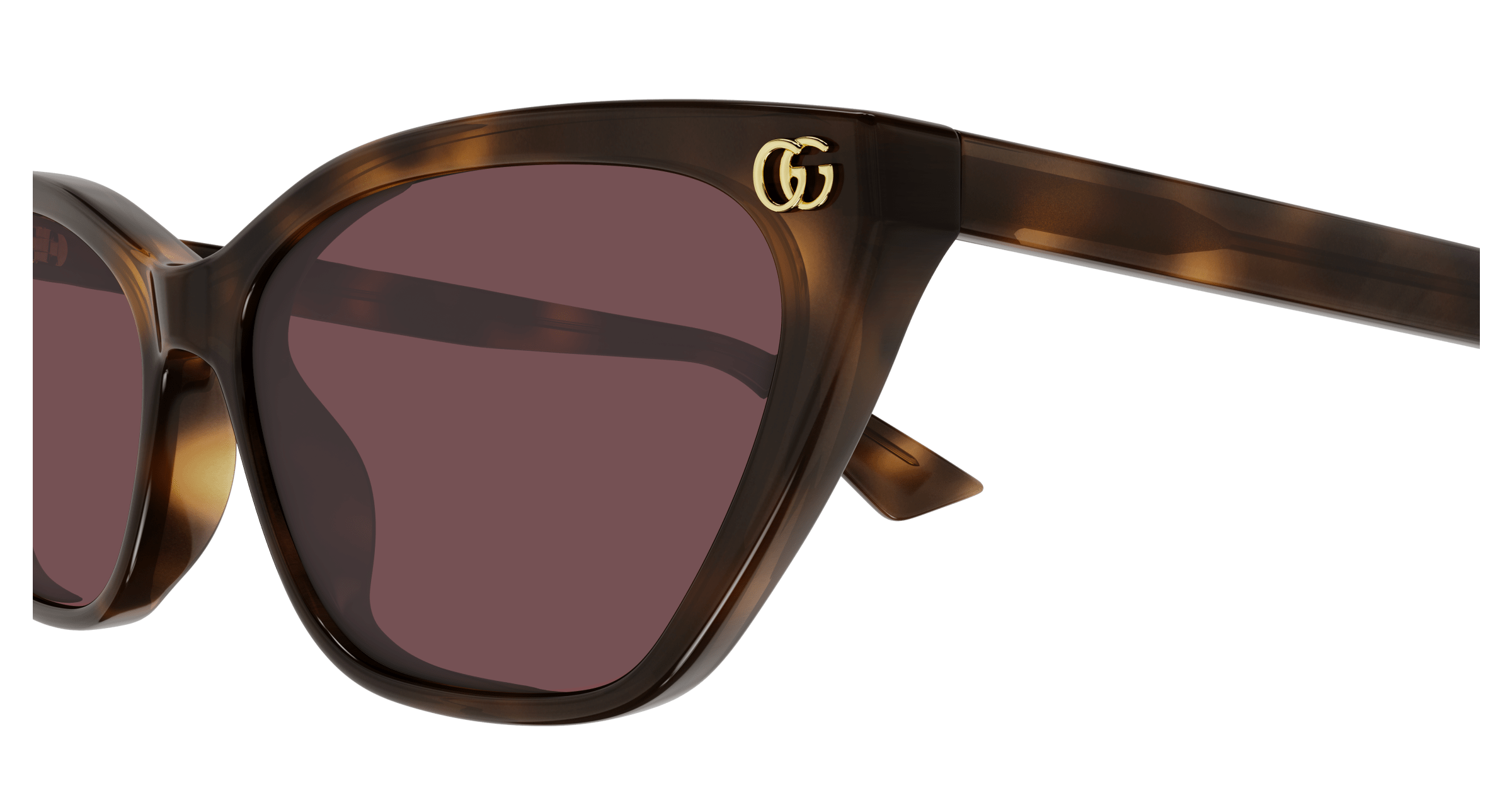 Havana Sunglasses Gucci 889652527468