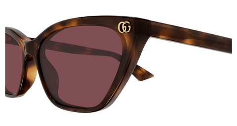Havana Sunglasses Gucci 889652527468