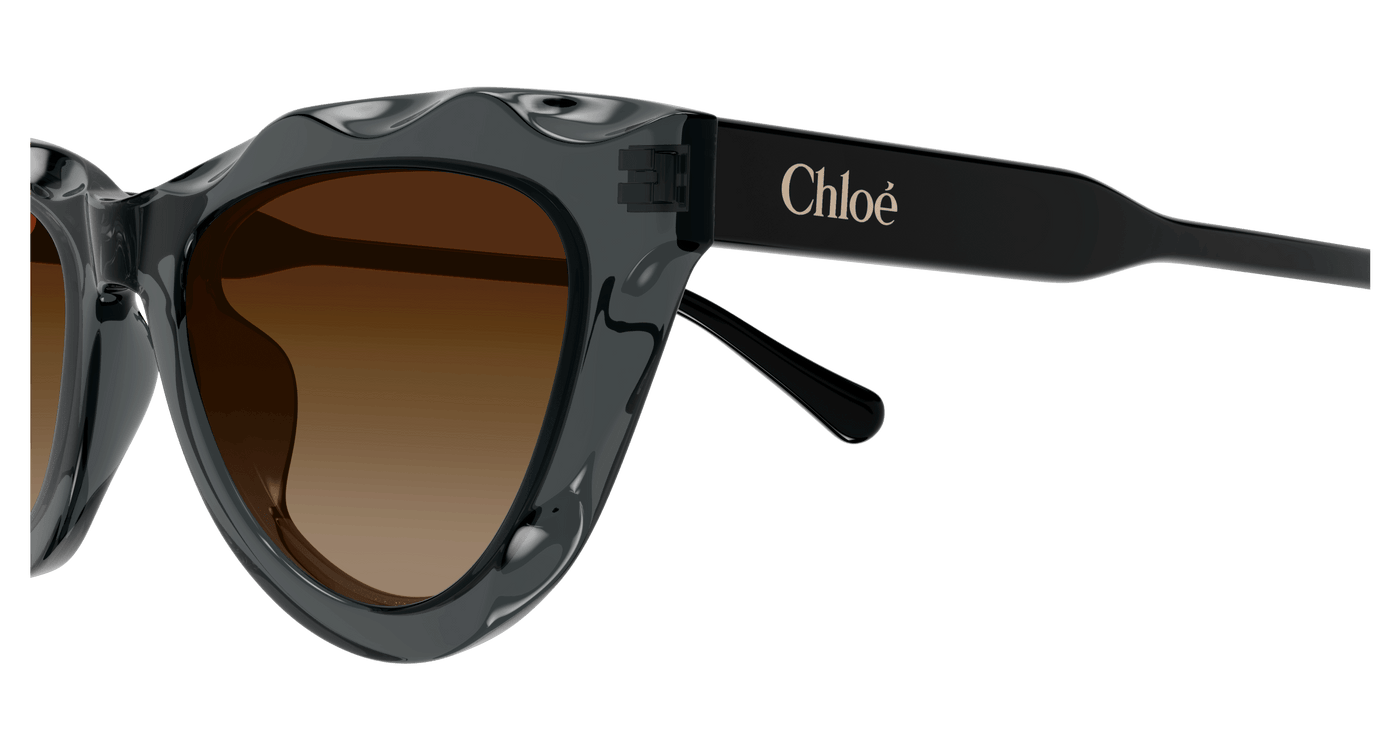 Chloe CH0294S Sunglasses 889652543864