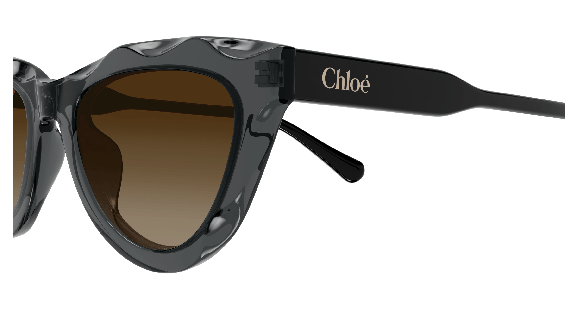 Chloe CH0294S Sunglasses 889652543864