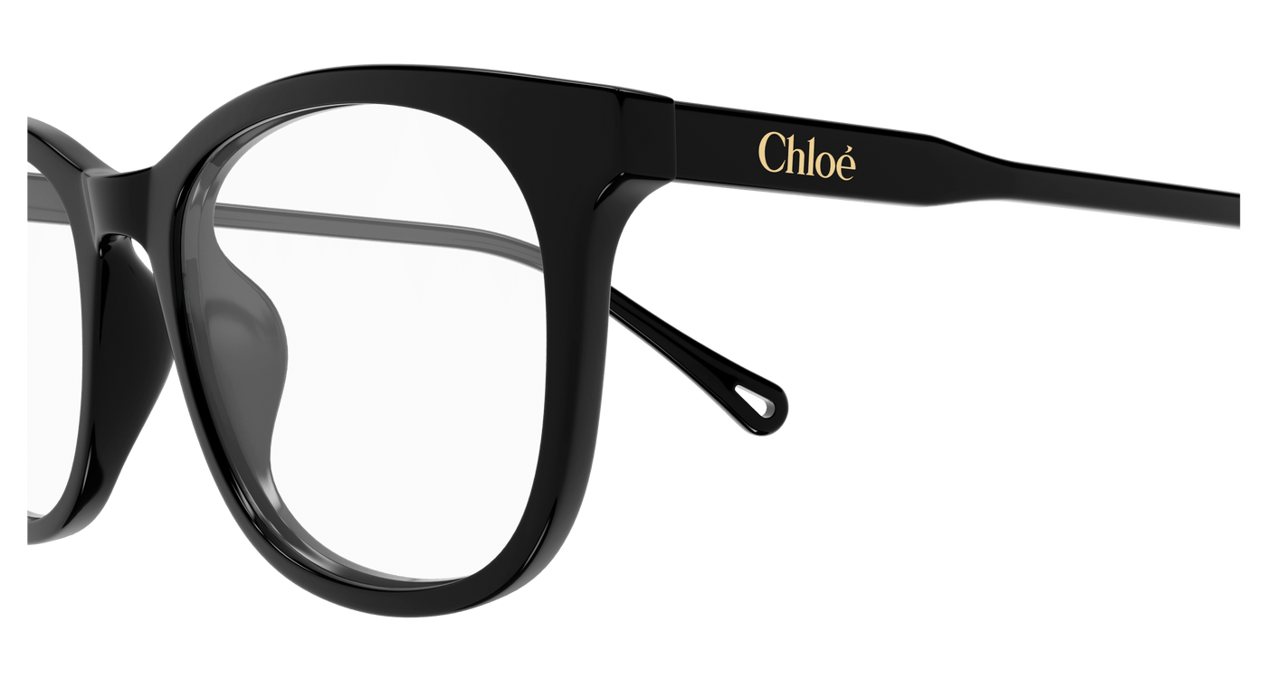 Chloe CH0314OA Eyeglasses 889652544663