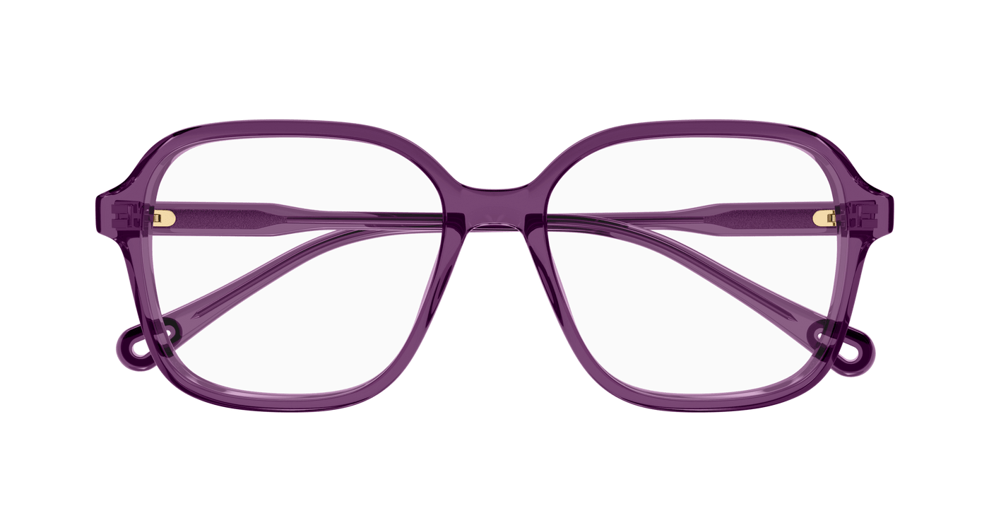 Chloe CH0313O Eyeglasses 889652544649