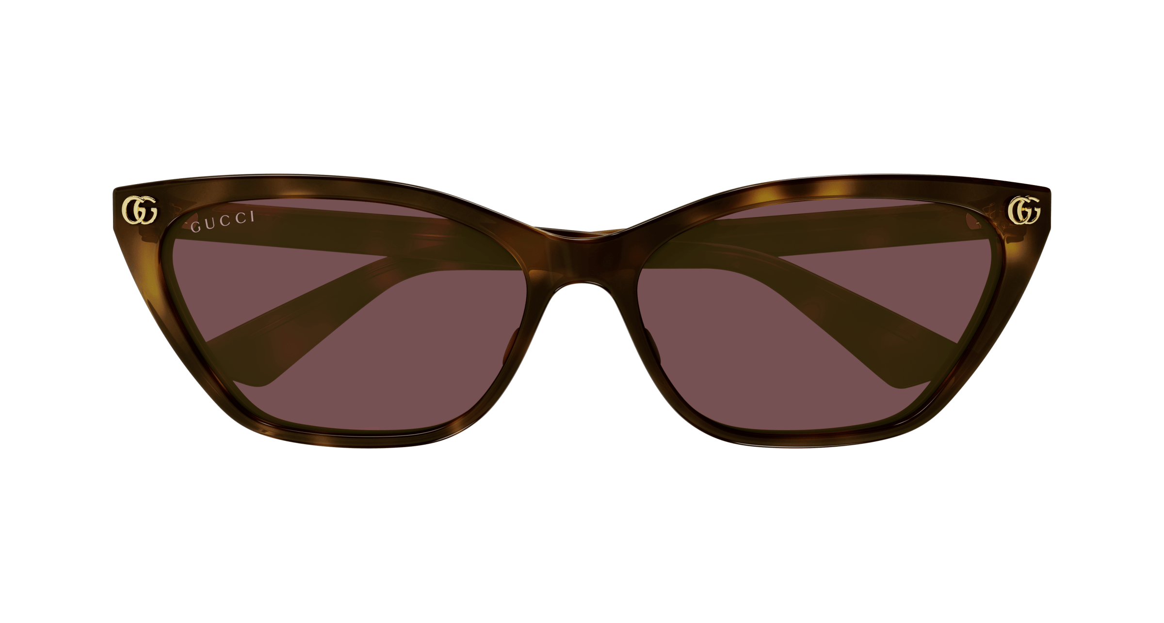 Havana Sunglasses Gucci 889652527468