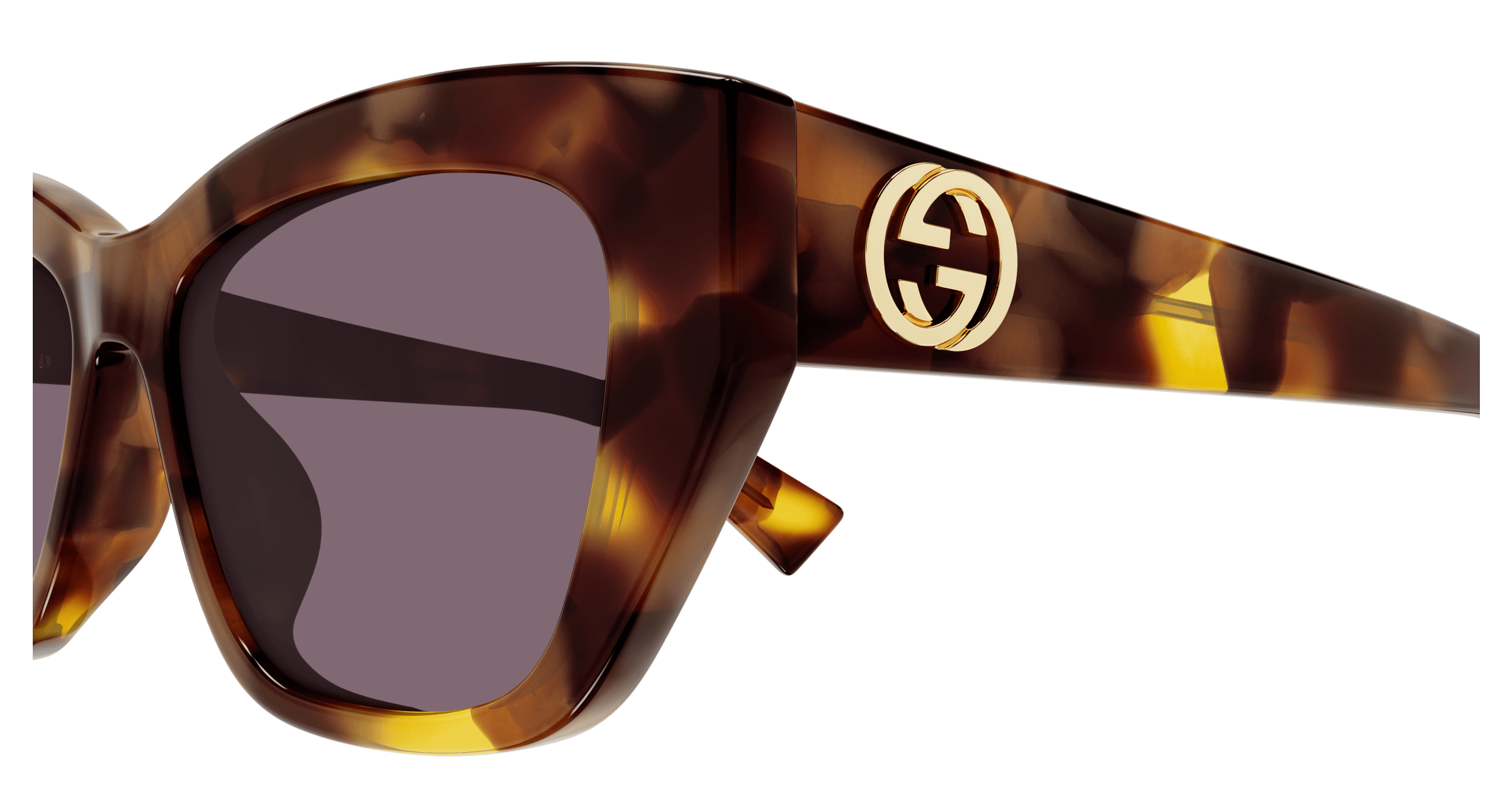 Havana Sunglasses Gucci 889652525631