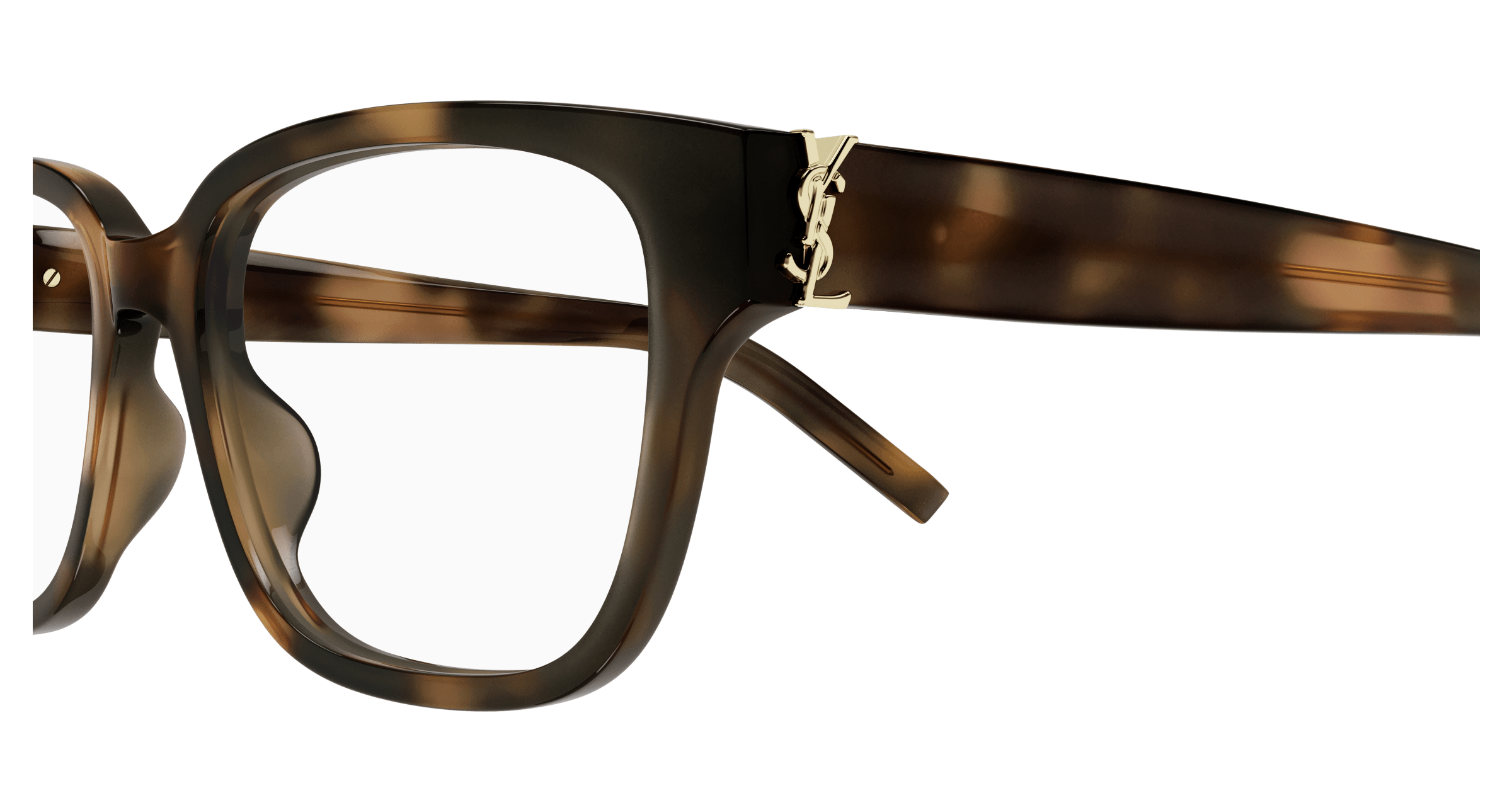 Havana Eyeglasses Saint Laurent 889652556536