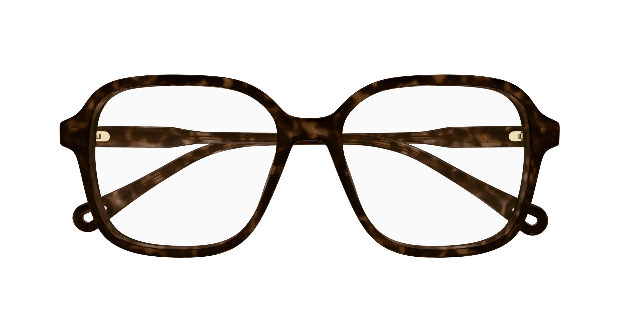 Chloe CH0313O Eyeglasses 889652544625