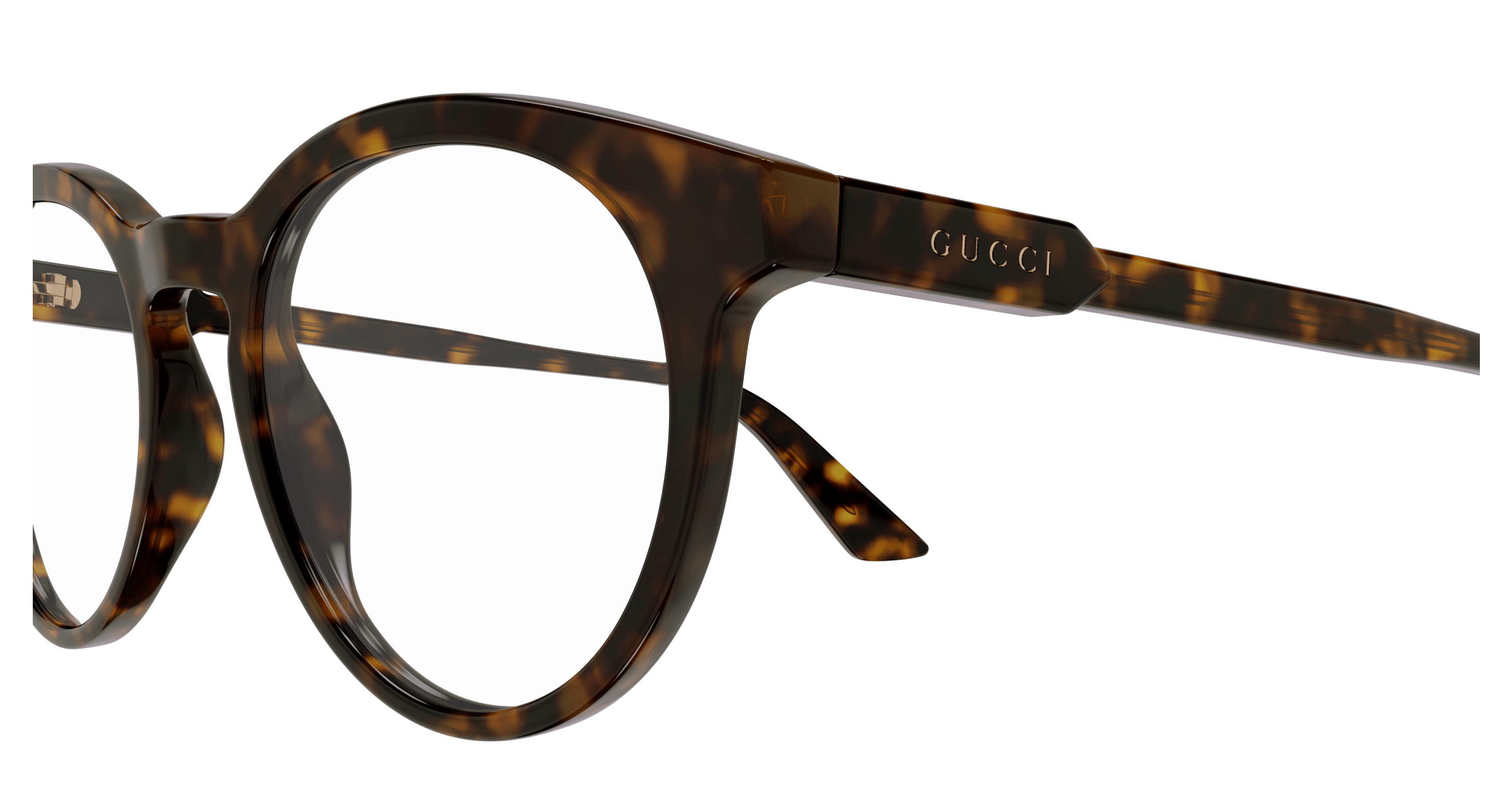 Havana Eyeglasses Gucci 889652527673