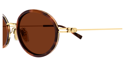 Gucci GG1980S Havana 889652570624