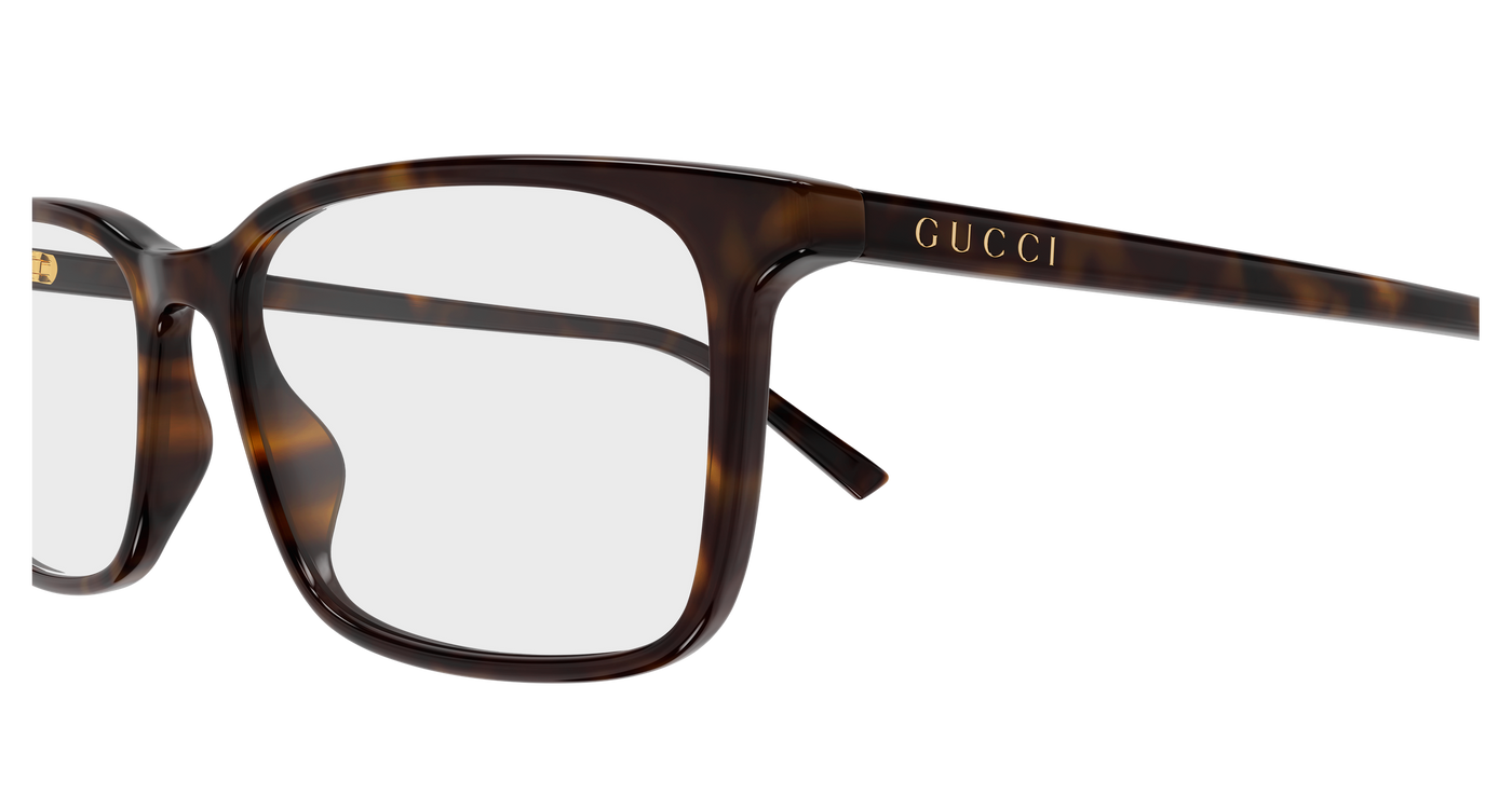 Gucci GG1997O Havana 889652571256