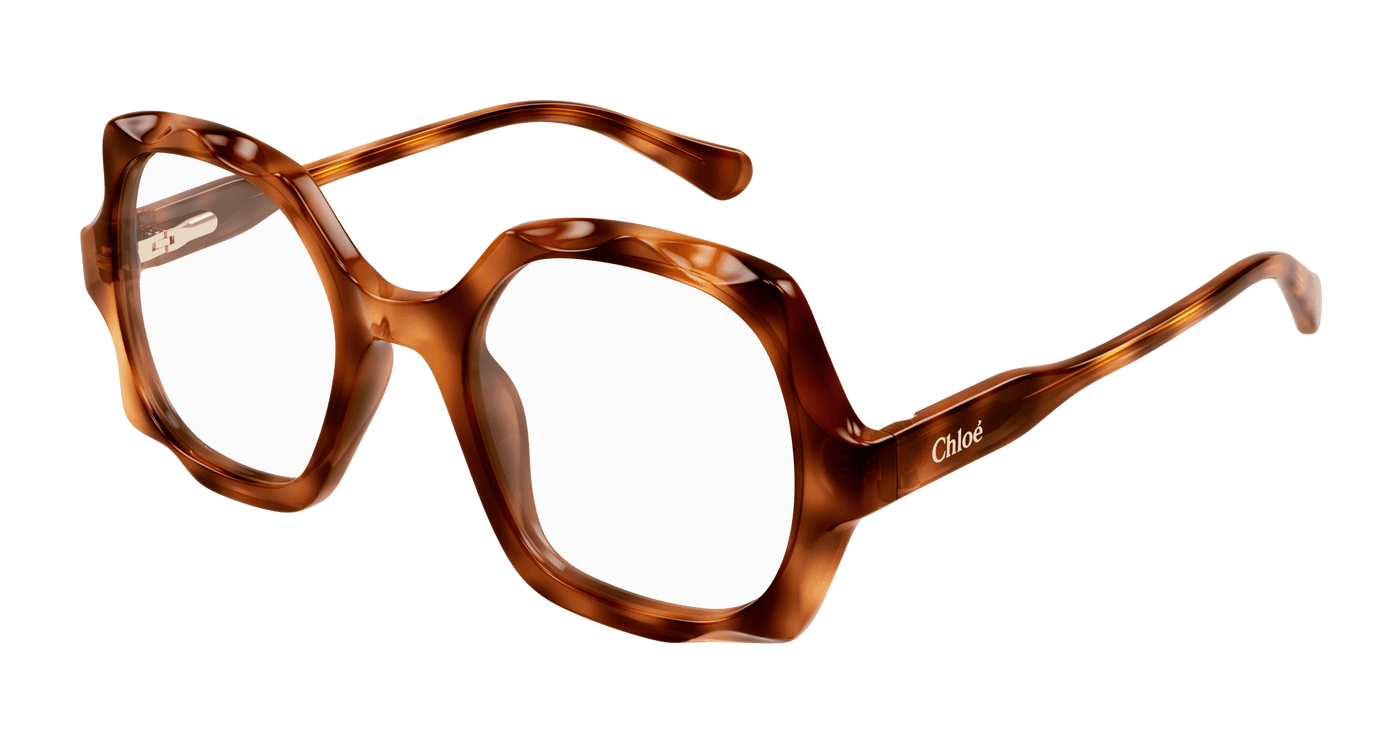 Chloe CC0026O Eyeglasses 889652543154