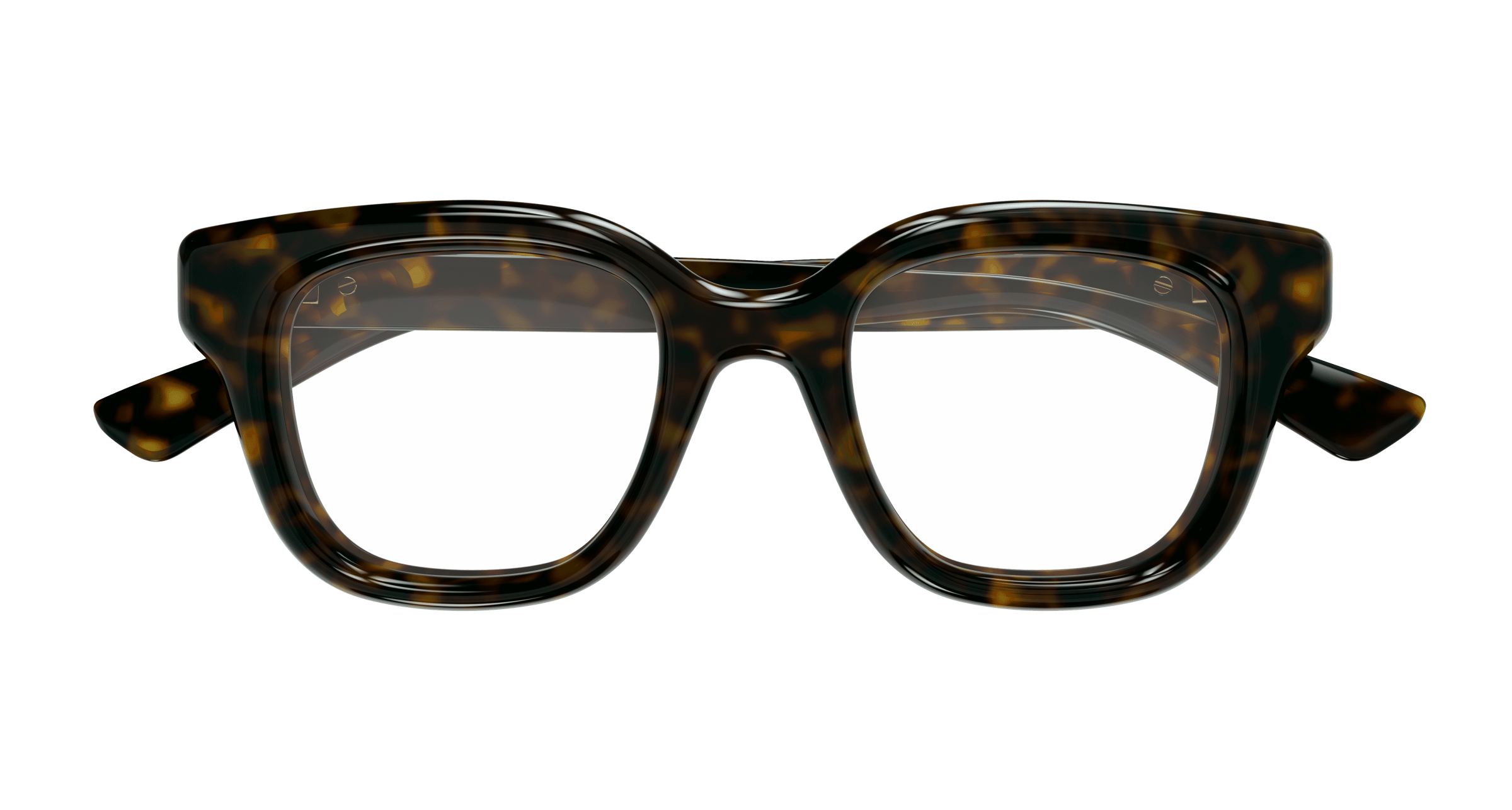 Havana Eyeglasses Gucci 889652530604