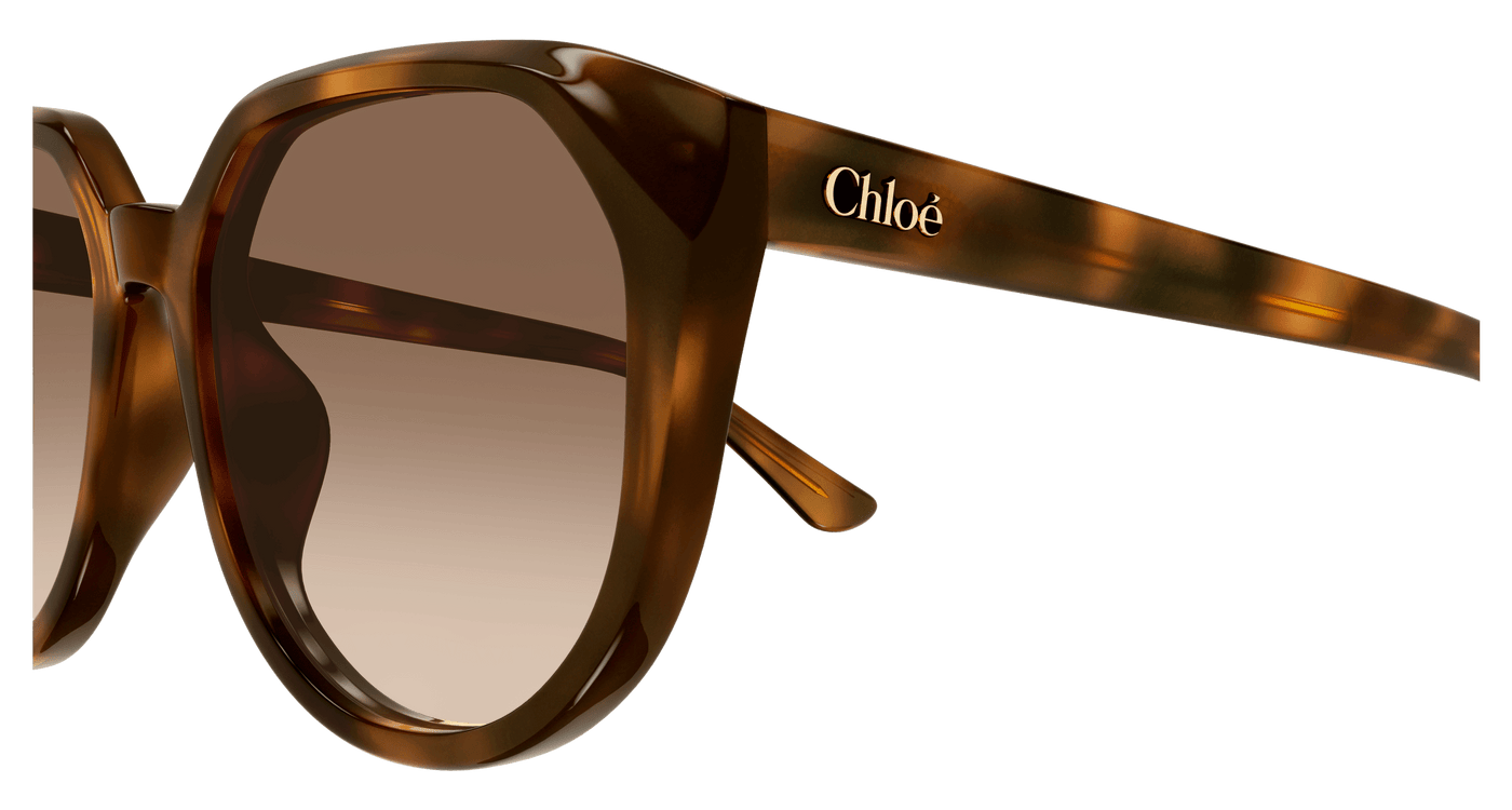 Chloe CH0291SK Sunglasses 889652543659