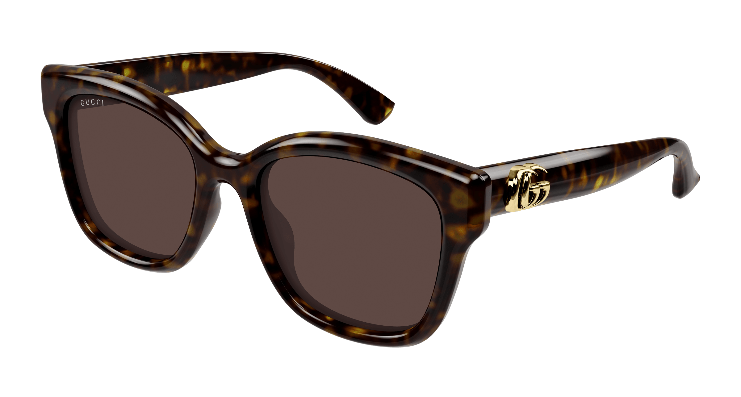 Havana Sunglasses Gucci 889652525761