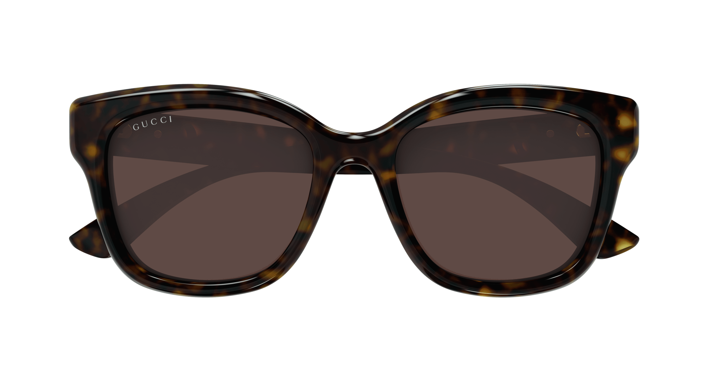 Havana Sunglasses Gucci 889652525761