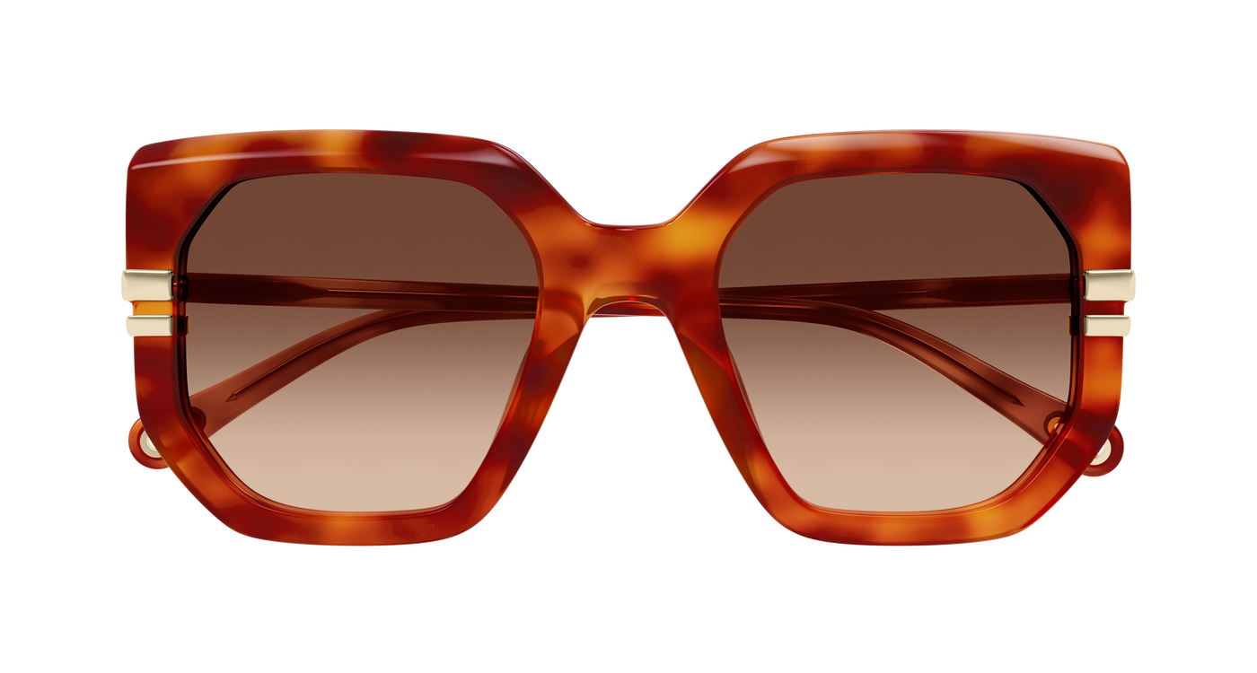 Chloe CH0240S Sunglasses 889652601489