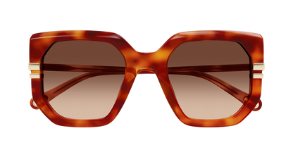 Chloe CH0240S Sunglasses 889652601489
