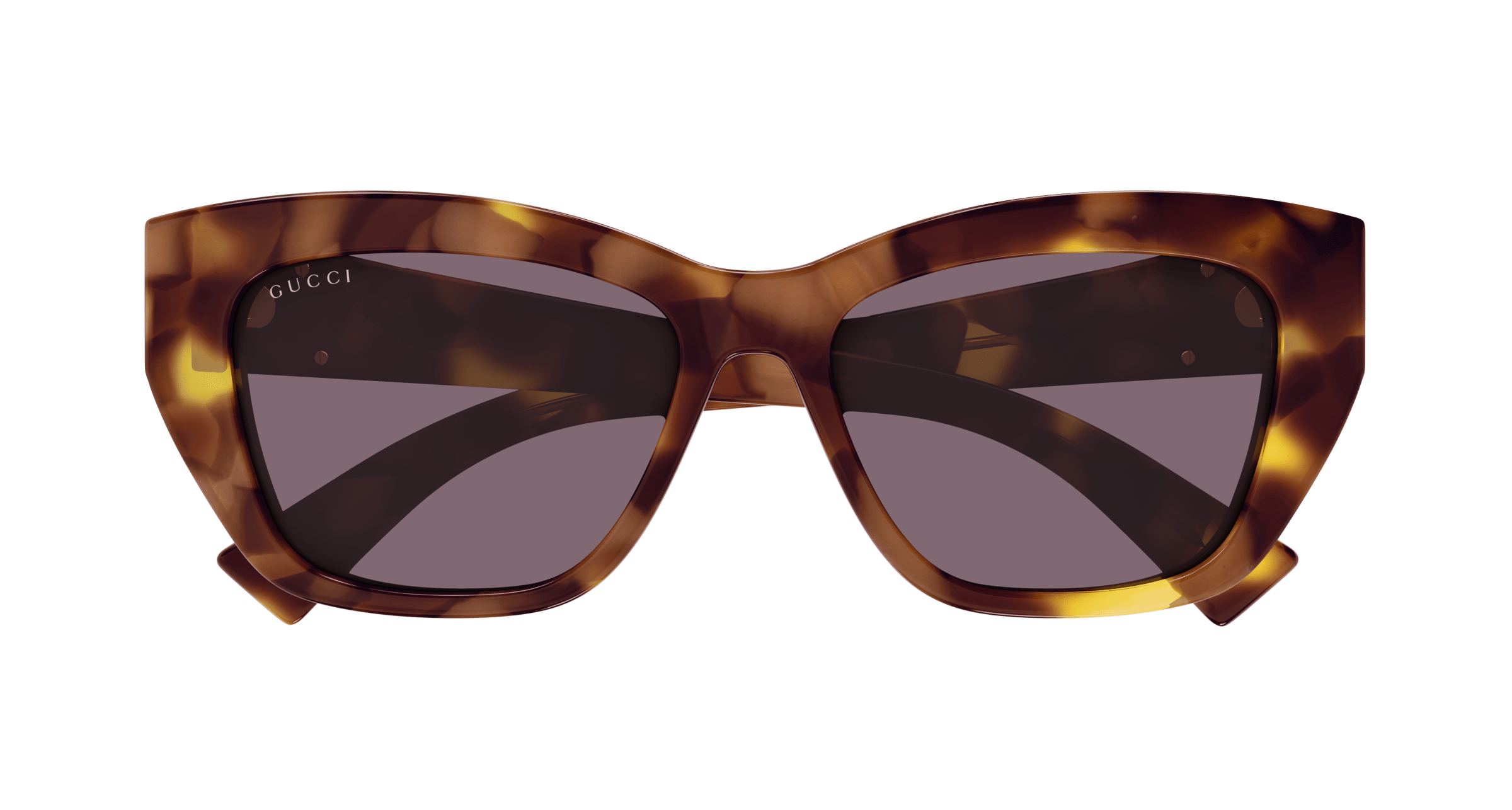 Havana Sunglasses Gucci 889652525631