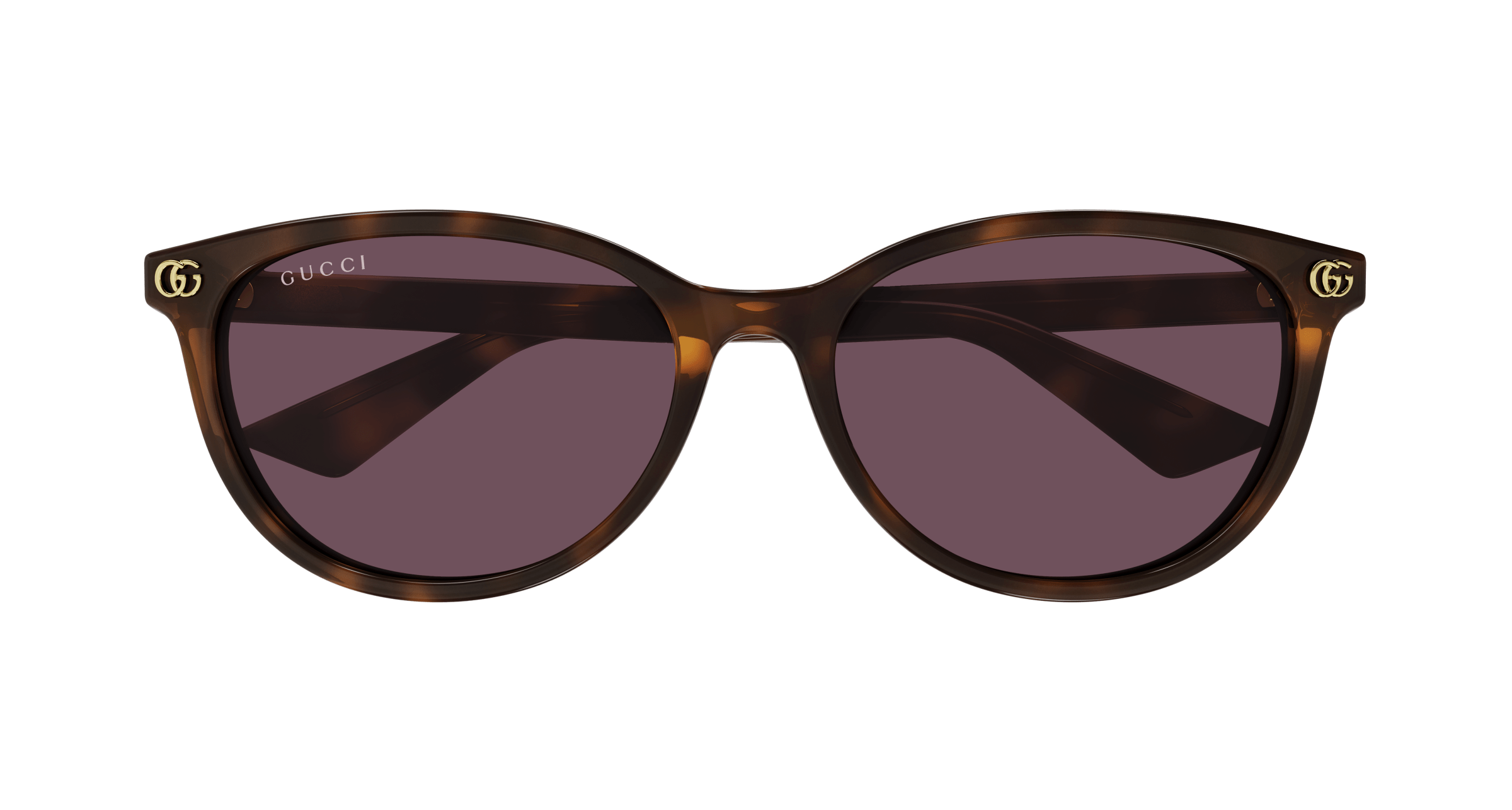 Havana Sunglasses Gucci 889652526355