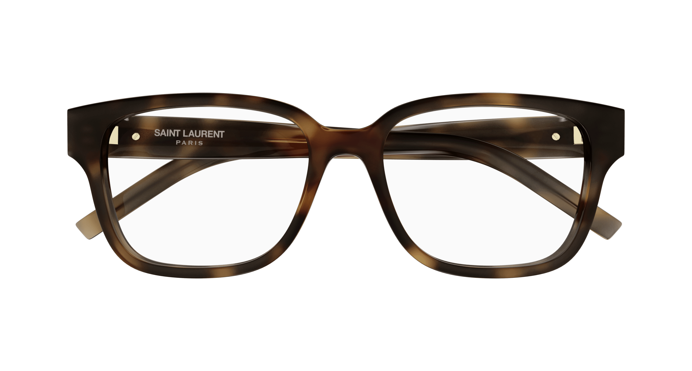 Havana Eyeglasses Saint Laurent 889652556536