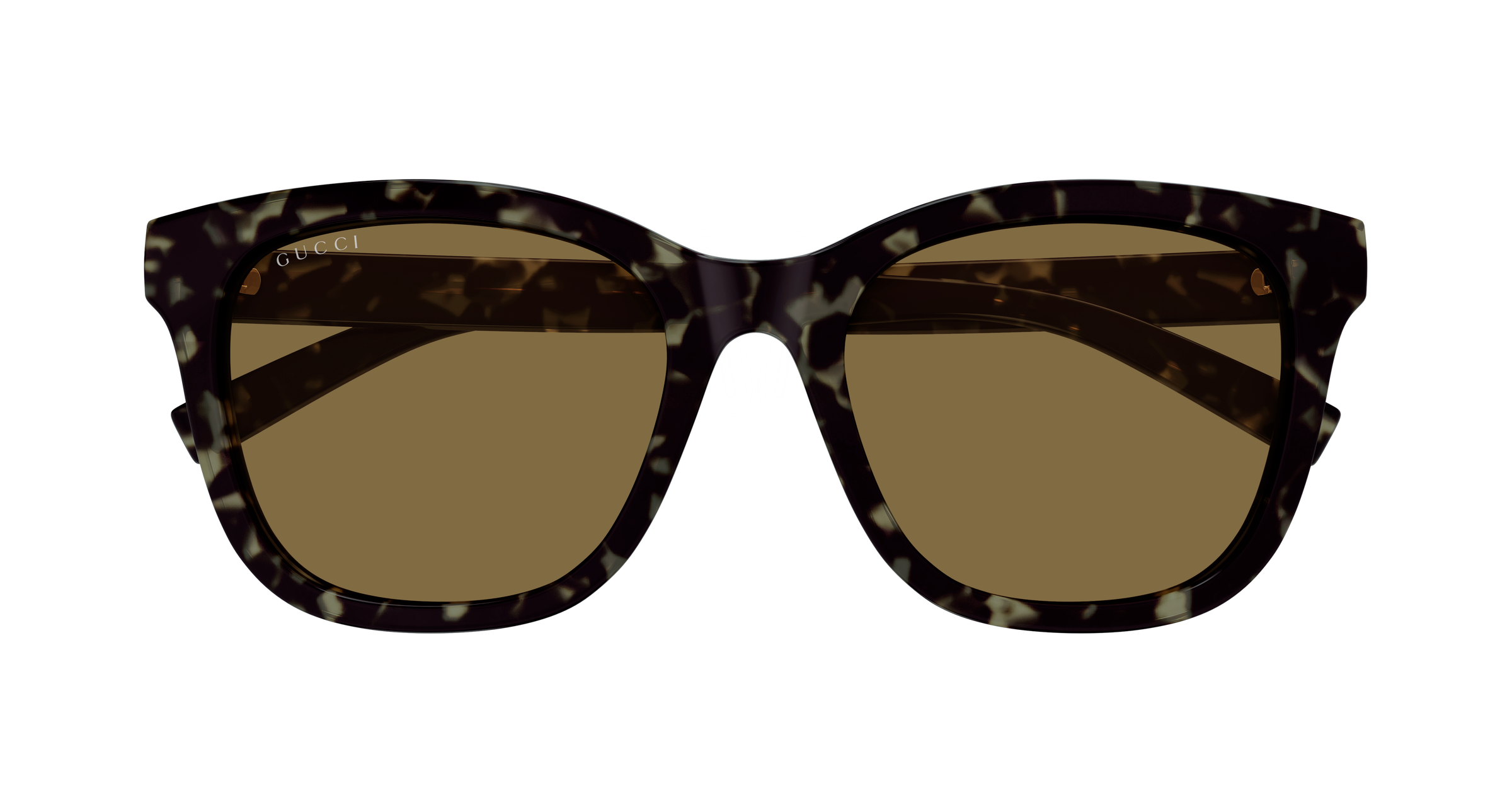 Gucci GG1984SK Havana 003 889652570860