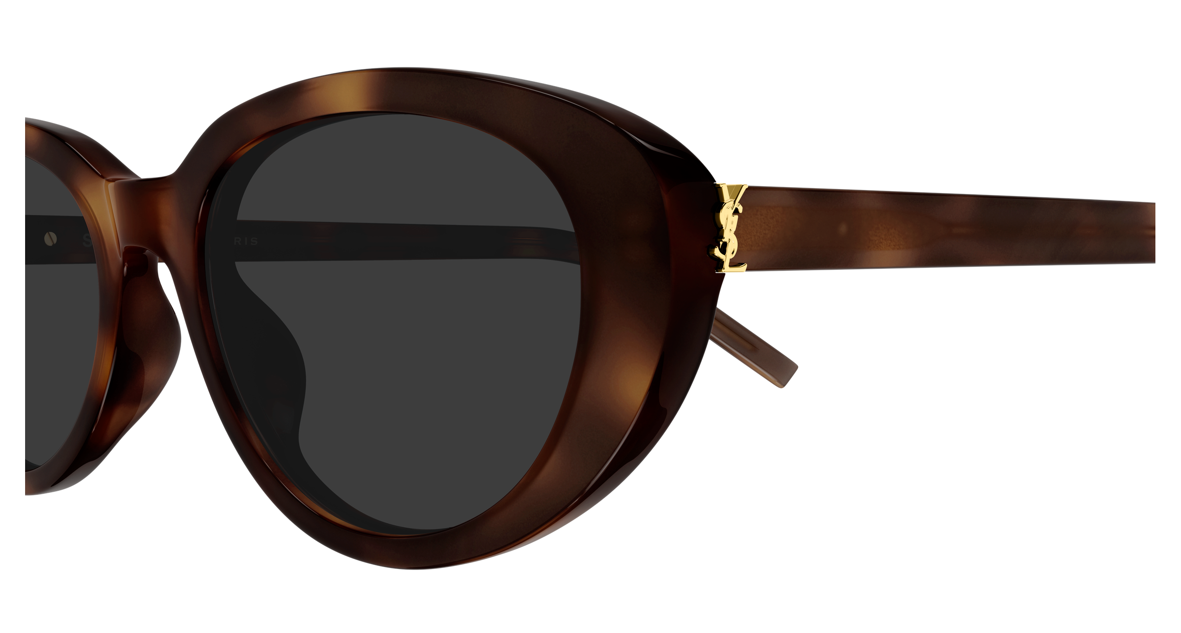 Saint Laurent SL M154/K Havana 361 889652606361