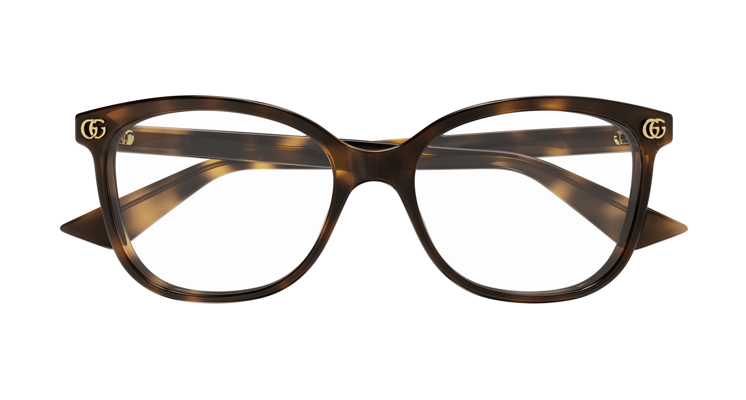 Havana Eyeglasses Gucci 889652527512